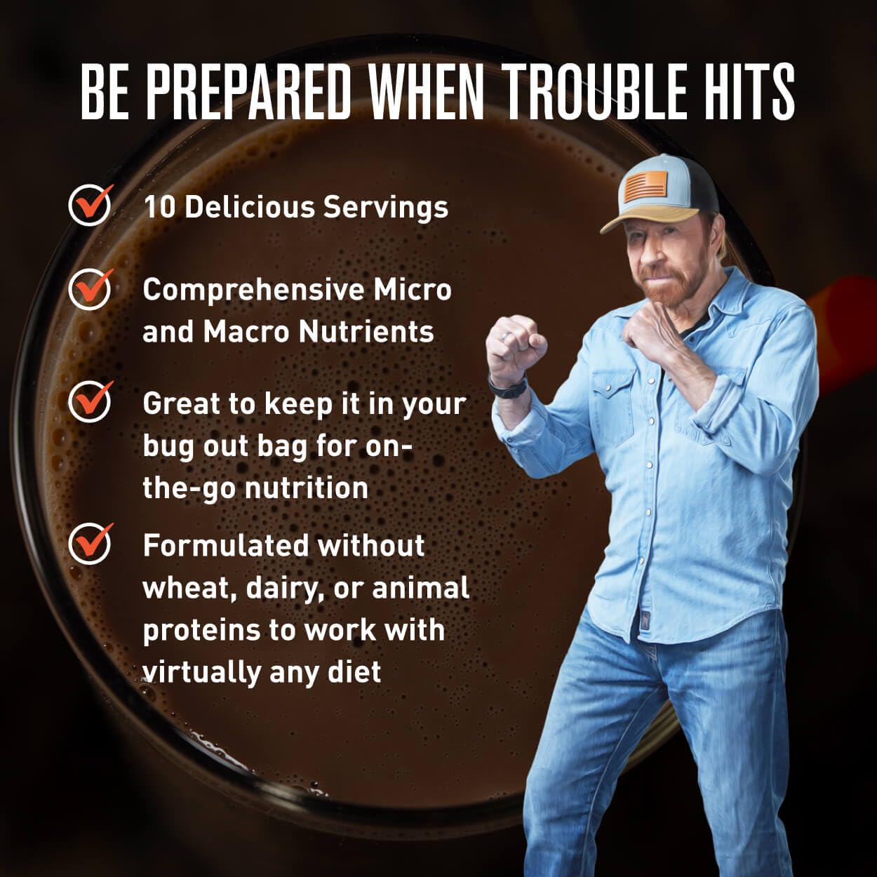 Basecamp Complete Nutrition Shake by Chuck Norris Roundhouse Provisions – Plant-Based Emergency Meal with 18g Protein & 28 Essential Nutrients – Rich Chocolate Flavor – 10 Servings, 3-Year Shelf Life ROUNDHOUSE PROVISION buy supplements canada