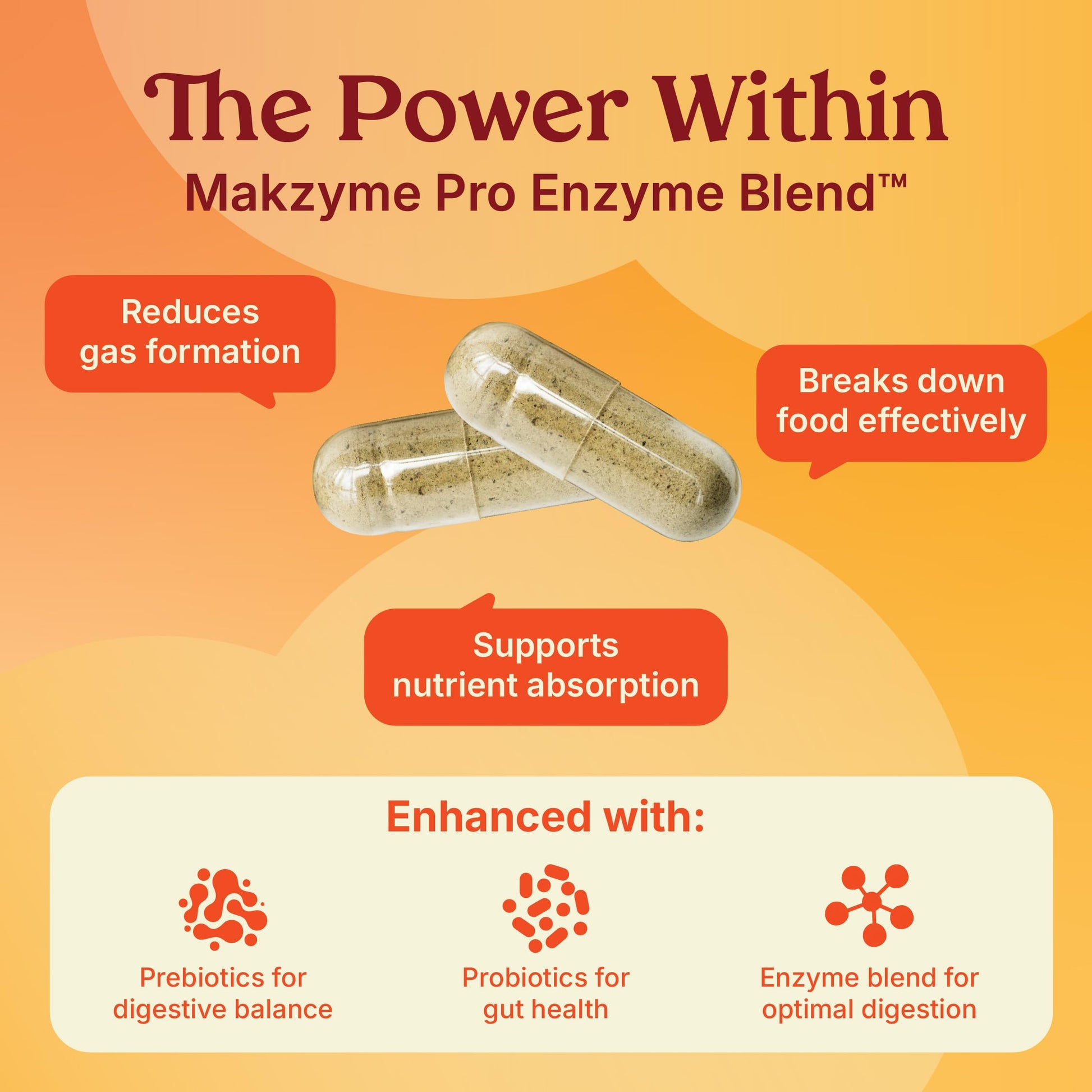 Poop Like a Champion Bloating Relief Digestive Enzymes, Probiotic Powered Capsules to Support Digestive Health and Gas Relief, 60 Capsules Poop Like a Champion buy supplements canada
