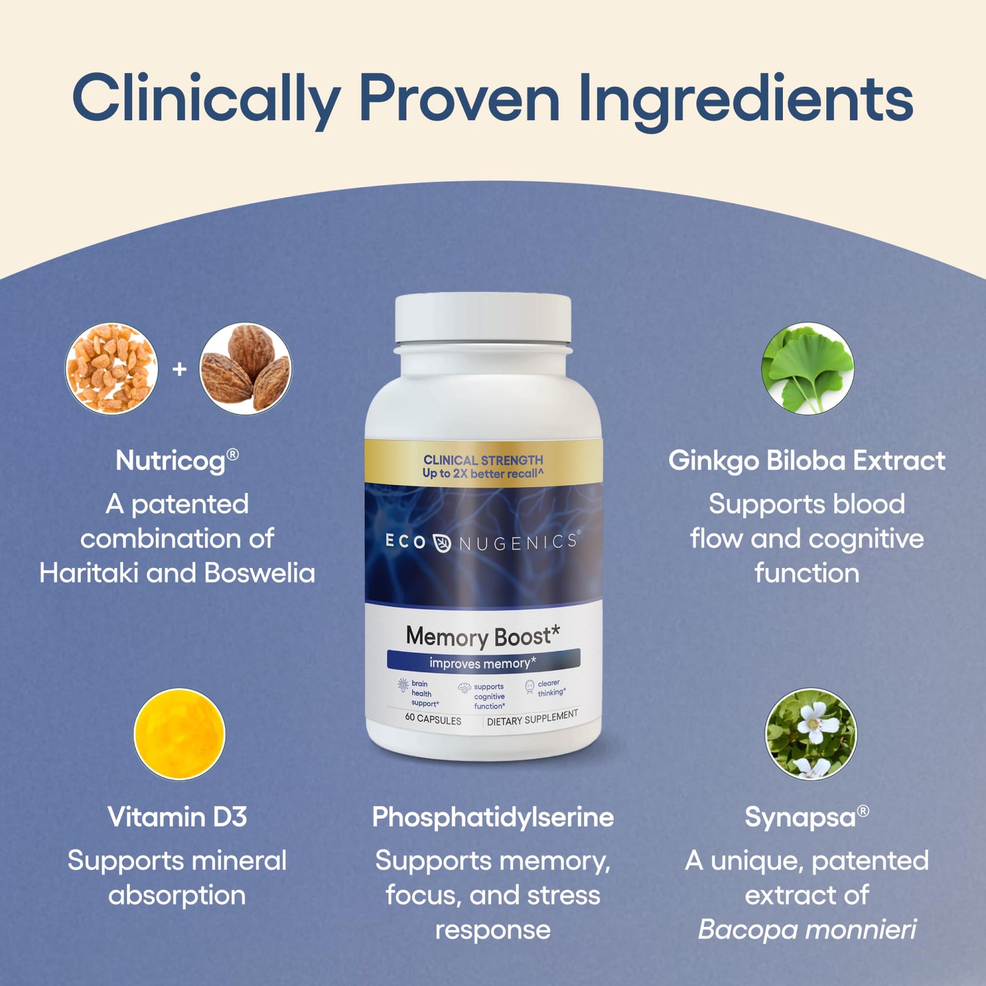 EcoNugenics Memory Boost Supplement – Clinically Studied Ingredients to Support Brain Focus & Health – Nootropic Formula with Bacopa Monnieri, Boswellia Serrata EcoNugenics buy supplements canada