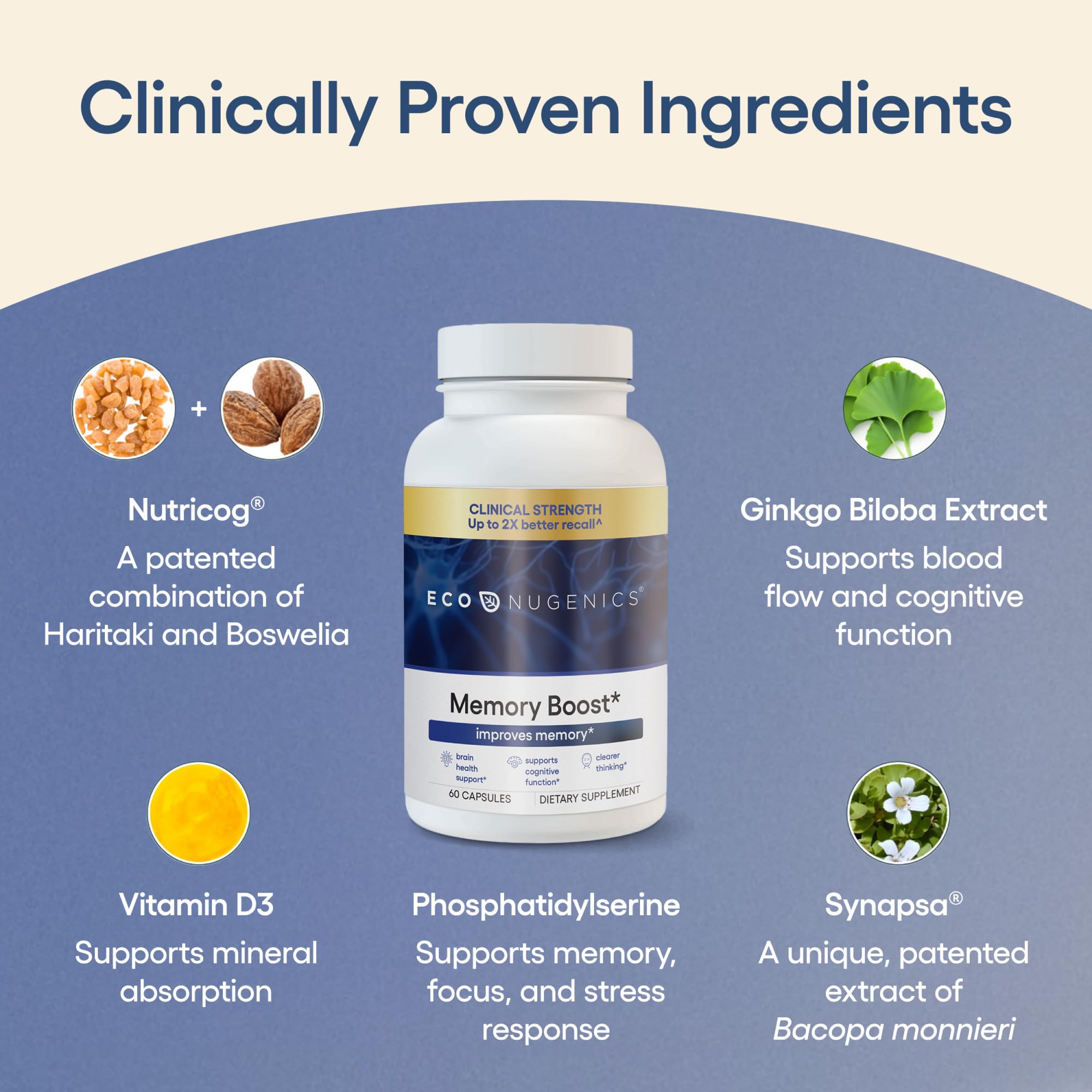 EcoNugenics Memory Boost Supplement – Clinically Studied Ingredients to Support Brain Focus & Health – Nootropic Formula with Bacopa Monnieri, Boswellia Serrata EcoNugenics buy supplements canada