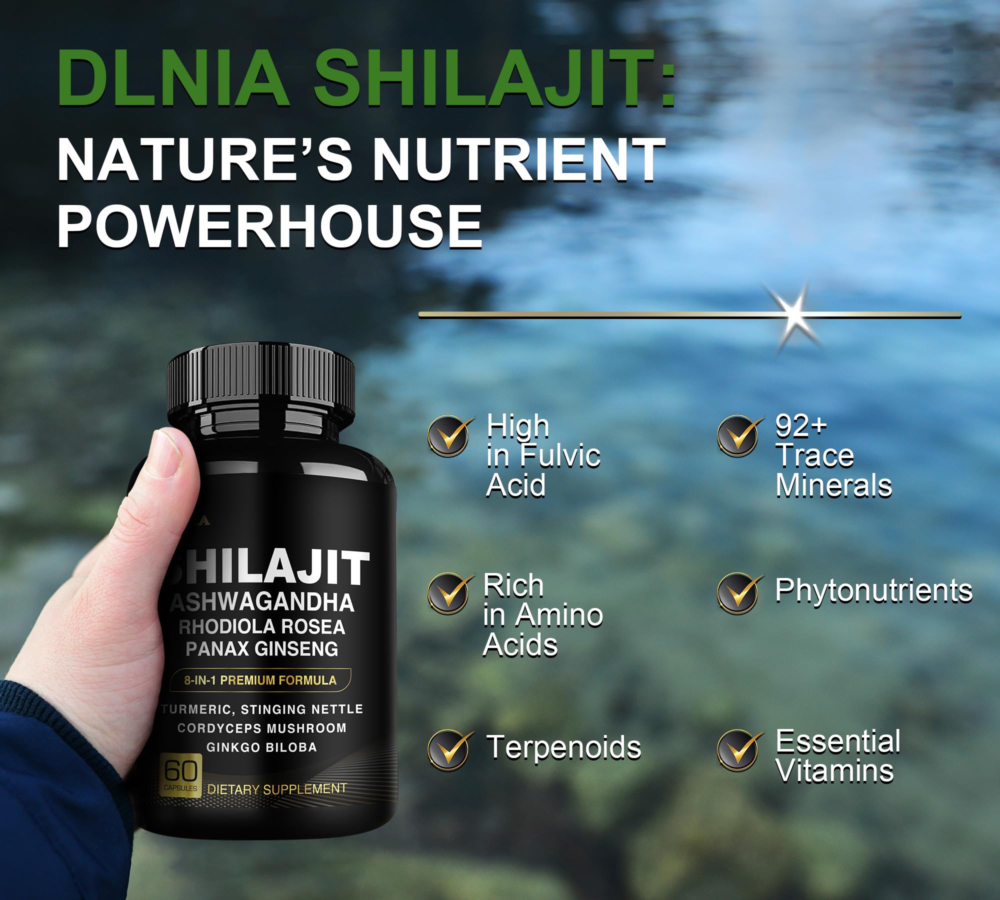 DLNIA 8-in-1 Shilajit for Men & Women with Ashwaganda Himalayan Organic Supplement with Rhodiola Rosea, Ginseng, Turmeric, Mushroom, for Immune Support, Energy, Calm, Focus, Clarity, Sleep, Cortisol DLNIA buy supplements canada