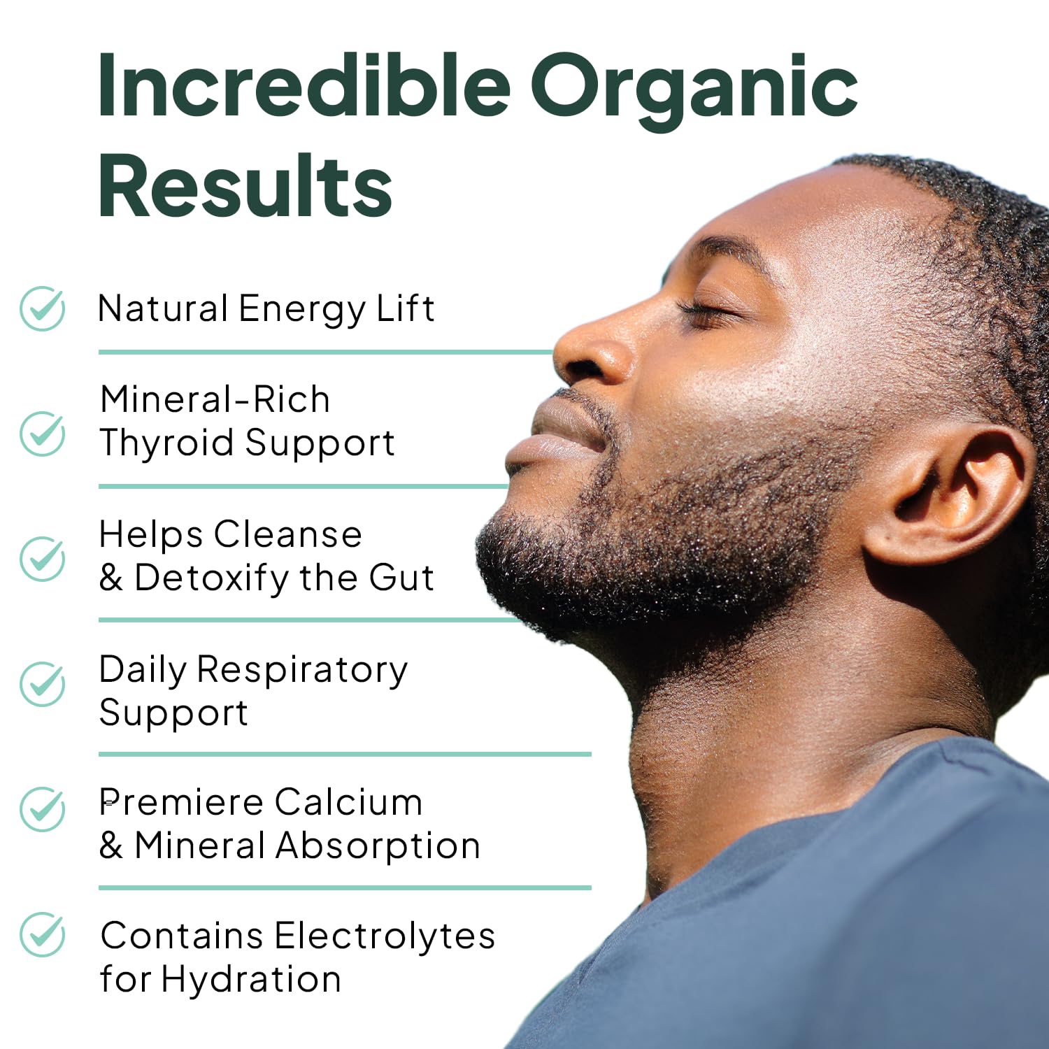 Organics Ocean Wild Sea Moss Capsules - 100% Organic Irish Sea Moss with Organic Chlorella, Bladderwrack and Vitamin D for Energy, Lung Health and Thyroid Support for Women and Men - 60 Capsules Organics Ocean buy supplements canada