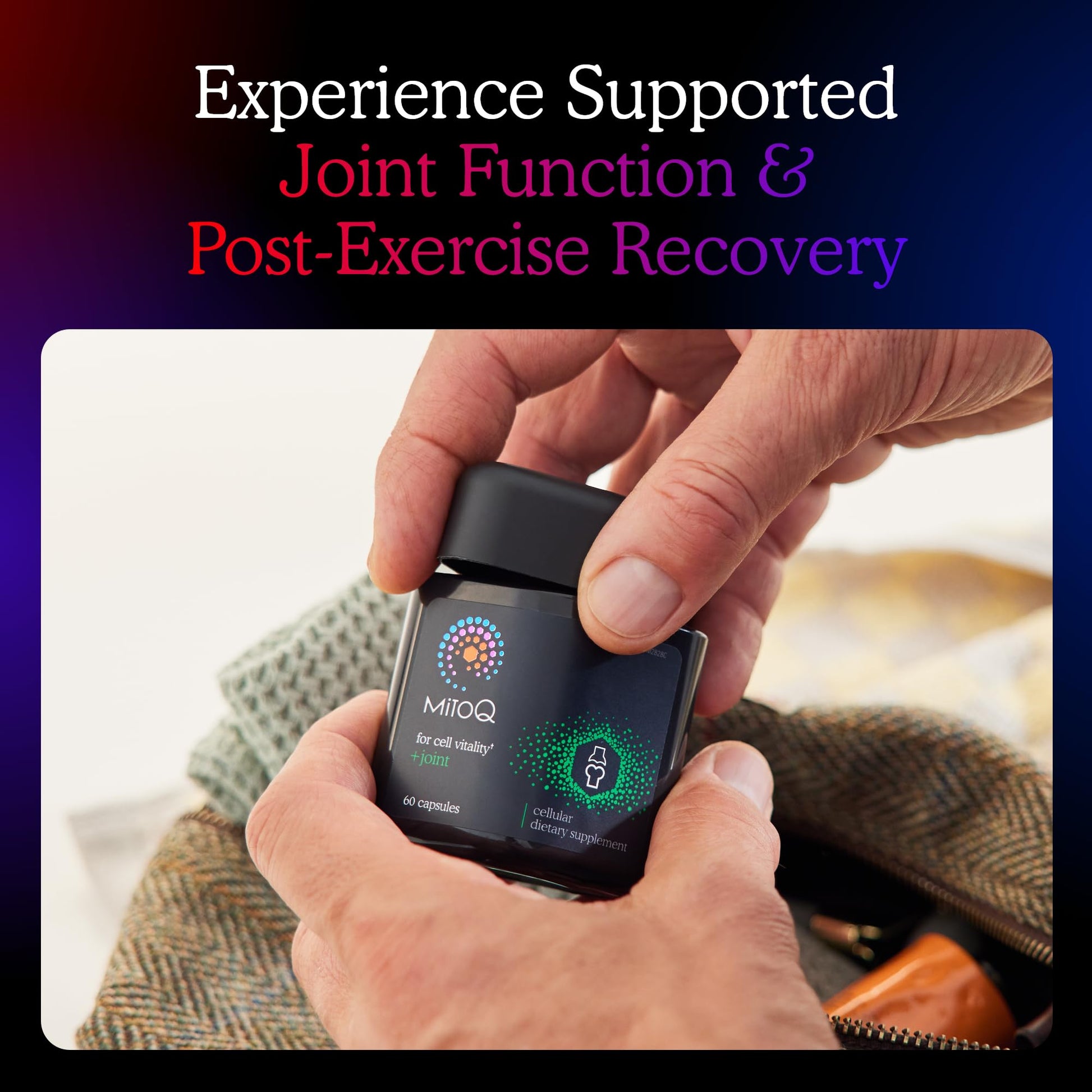 MitoQ +Joint Advanced CoQ10 Antioxidant Supplement - Contains Mitoquinol Mesylate & Green Lipped Mussel Omega Oil Extract - Supports Healthy Joint, Mobility and Cell Vitality (60 Softgel Capsules) MitoQ buy supplements canada