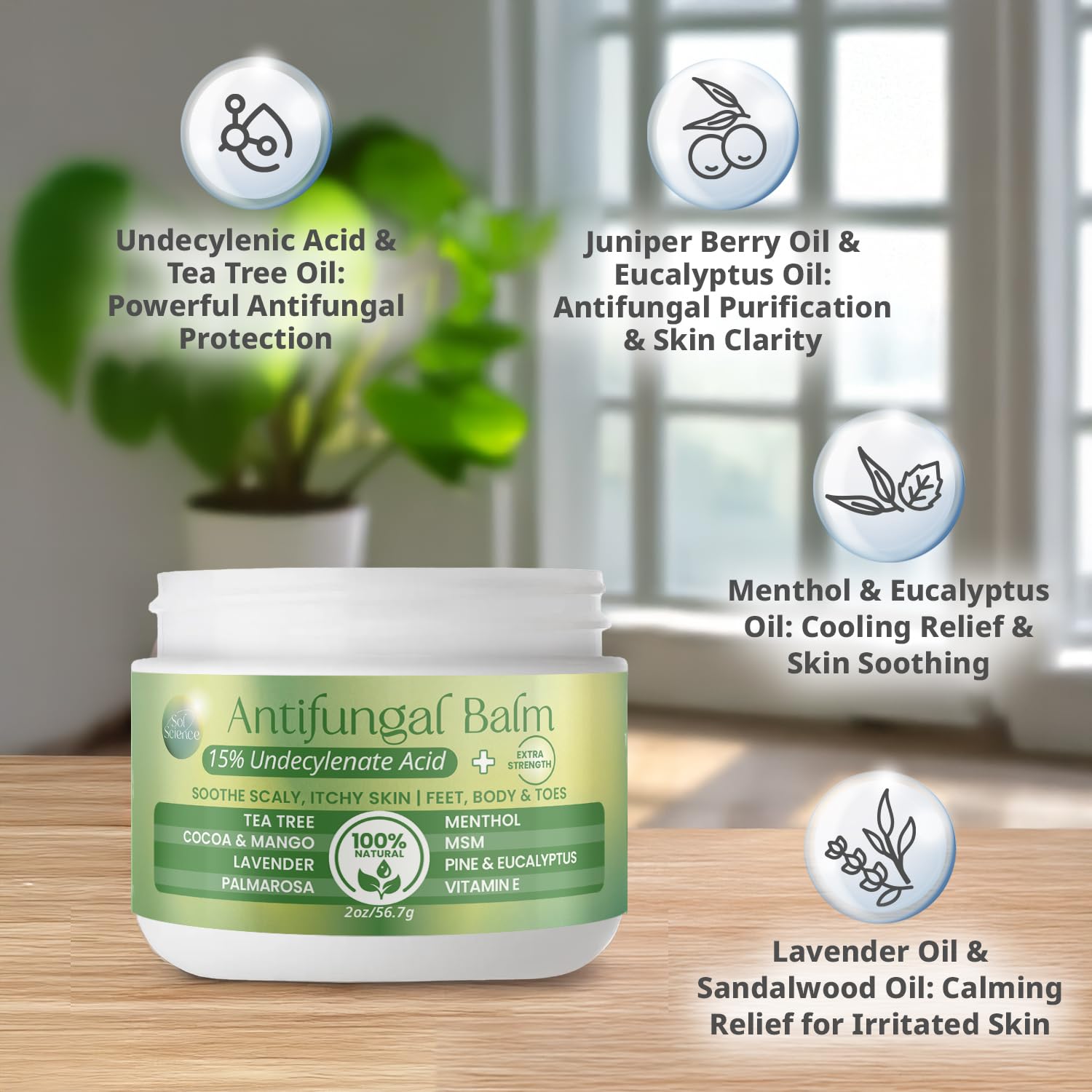 PURPLE CANYON Anti Fungal Balm with 15% Undecylenic Acid – Antifungal for Athletes Foot, Jock Itch & Ringworm – Tea Tree, Menthol & Essential Oils PURPLE CANYON buy supplements canada