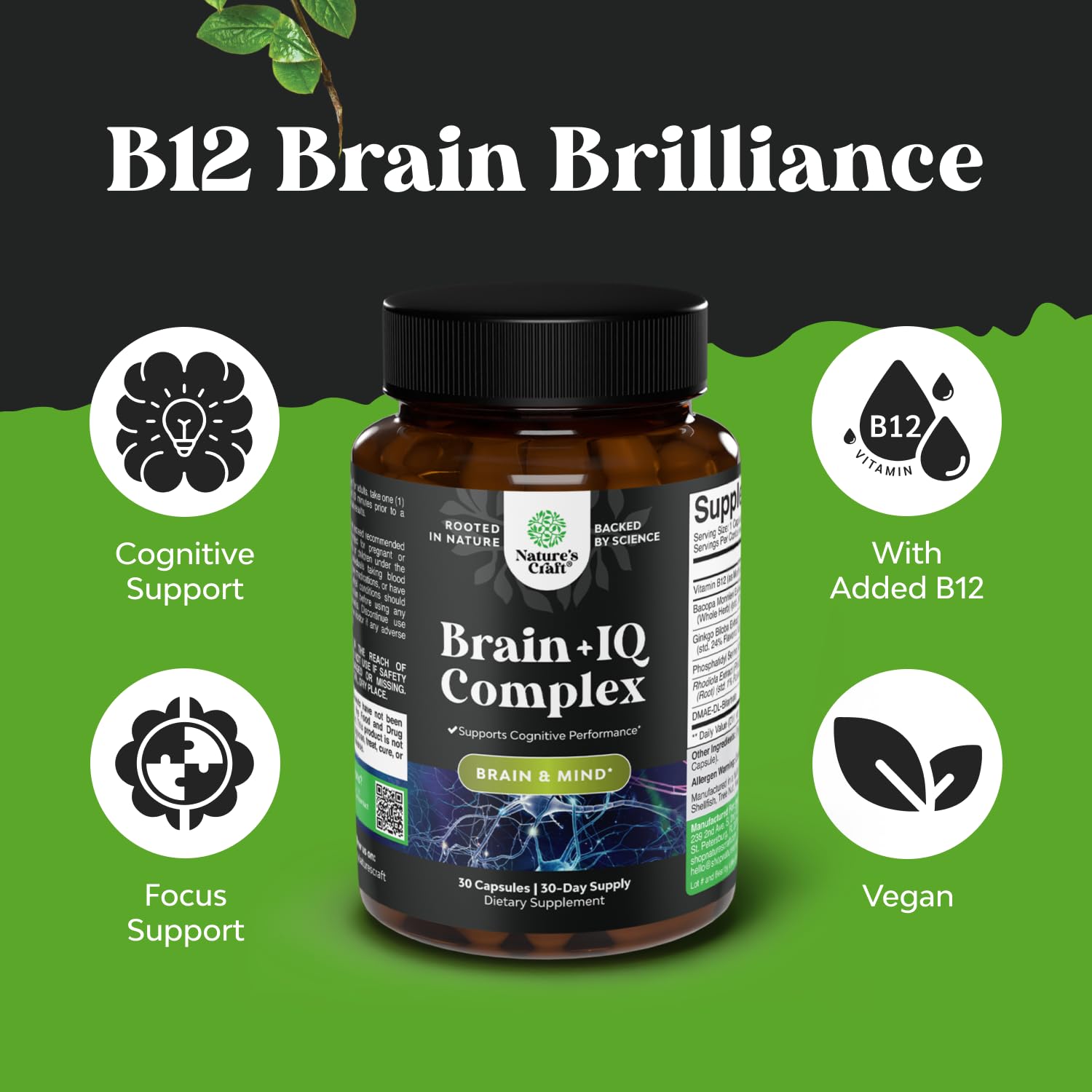 Nootropic Memory Supplement for Brain Support - Memory Pills for Brain Boost and Natural Energy Booster - Vitamin B 12 Bacopa Monnieri Rhodiola Rosea DMAE Ginkgo Biloba Phosphatidylserine Supplement Natures Craft buy supplements canada