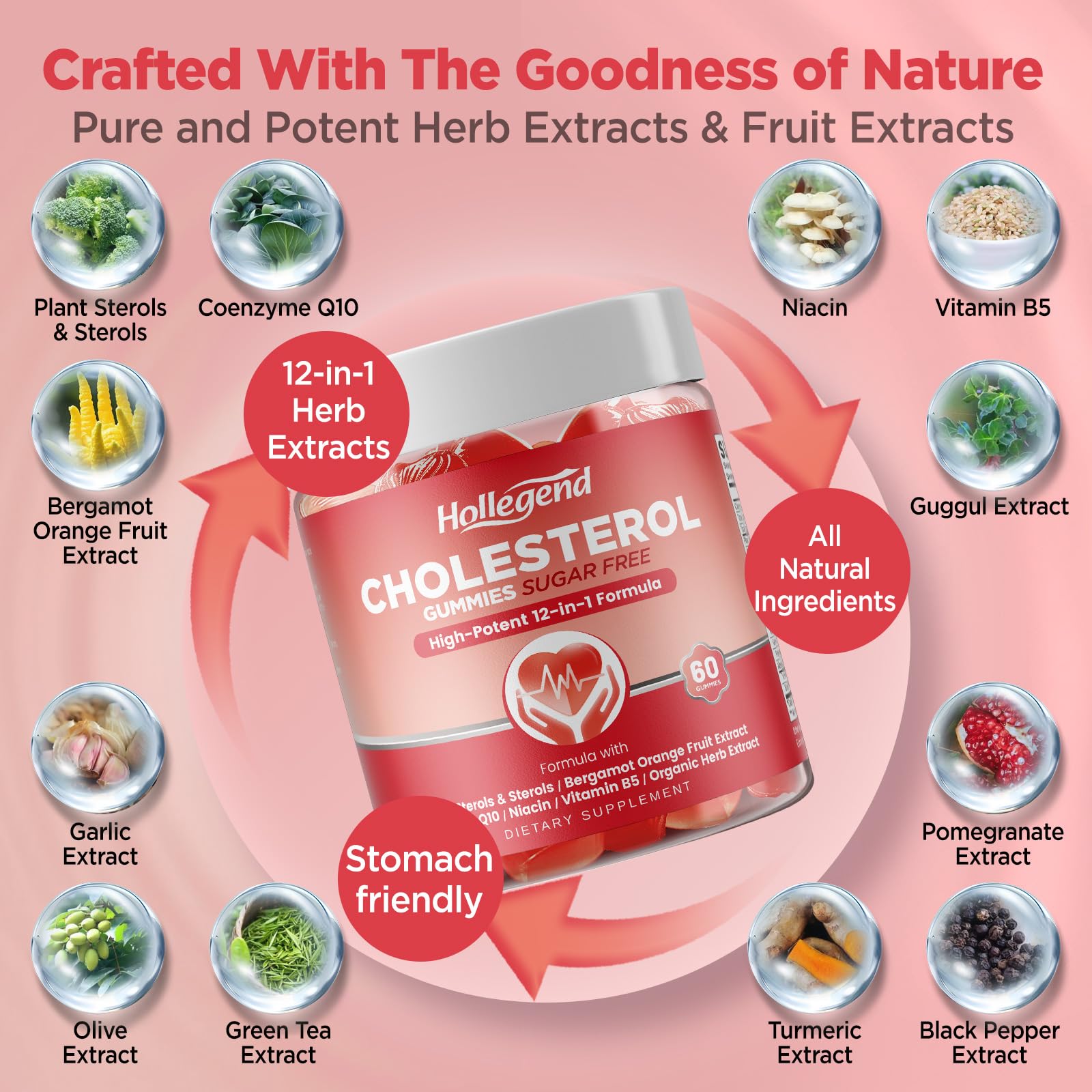 HOLLEGEND Cholesterol Gummies Sugar-Free,12-in-1 Cholesterol Supplements with Plant Sterols,Citrus Bergamot,CoQ10 and Vitamins for Cholesterol Health, Vegan, Mixed Berry Flavor, 60 Counts HOLLEGEND buy supplements canada