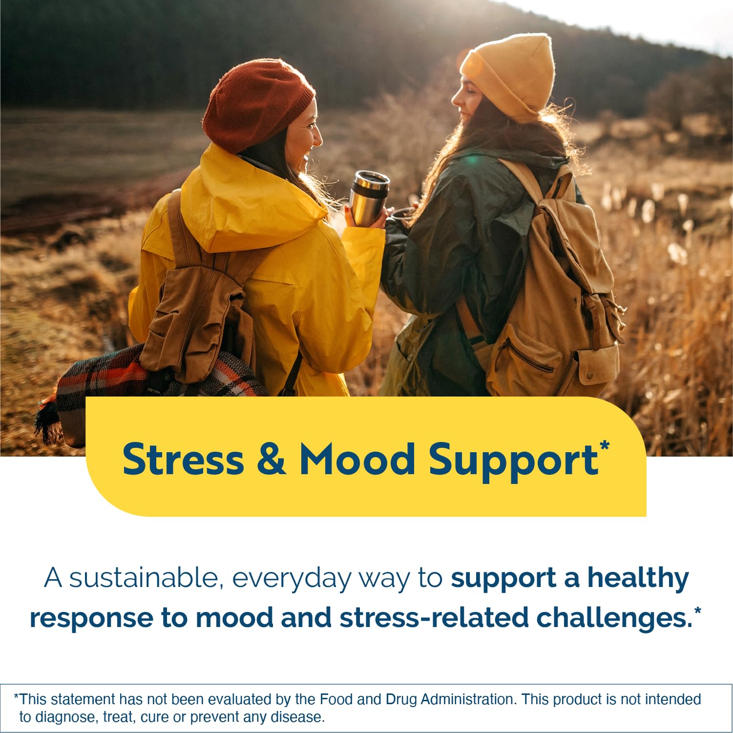 Researched Nutritionals AnxiaEase - Stress, Cortisol Management & Mood Support Supplement - Botanicals, Vitamin B6, Magnesium & 'Psychobiotic' Probiotic Strains (120 Capsules) Researched Nutritionals buy supplements canada
