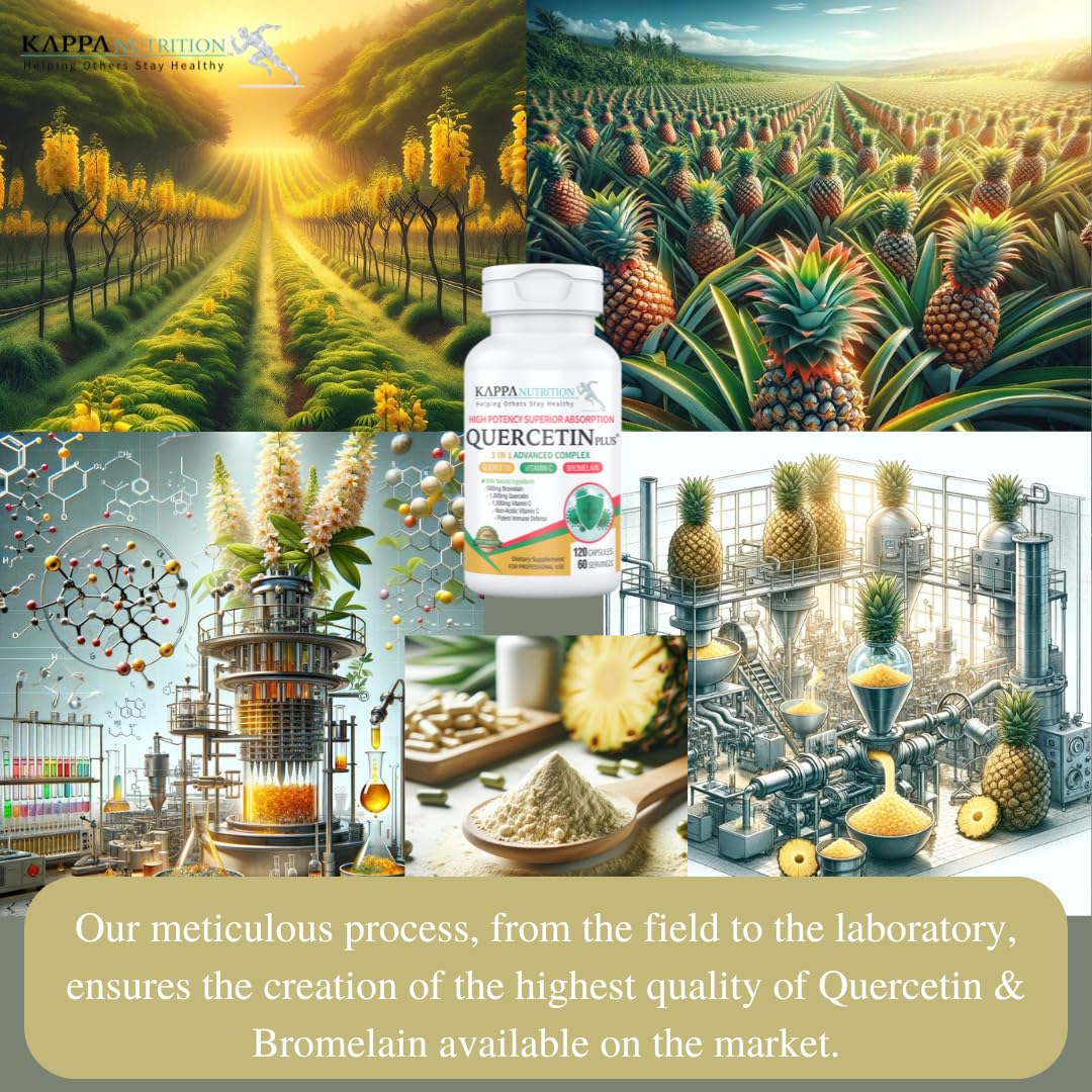 QUERCETIN PLUS, Quercetin 1,000mg, Bromelain 500mg and Vitamin C 1,000mg, (120 Capsules), 3 in 1 from Bioflavonoids, Supports Immune, Cardiovascular & Respiratory Health, Seasonal Allergy Relief. KAPPA NUTRITION buy supplements canada