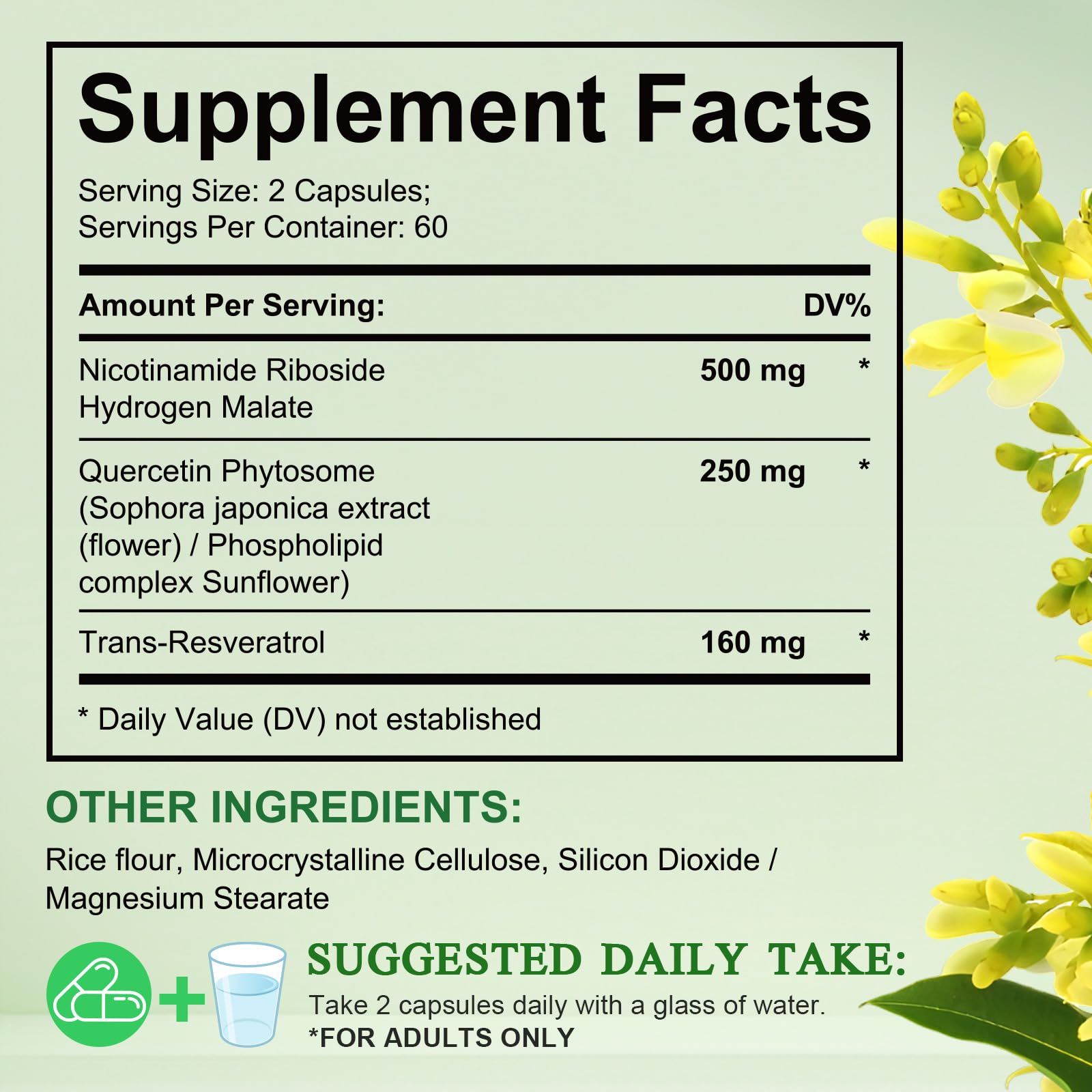 Xaarty NAD Supplement, 910MG Liposomal NAD for Women & Men, Nicotinamide Riboside, Resveratrol, Quercetin, NAD Resveratrol Supplement for Anti-Aging, 120 Capsules Xaarty buy supplements canada