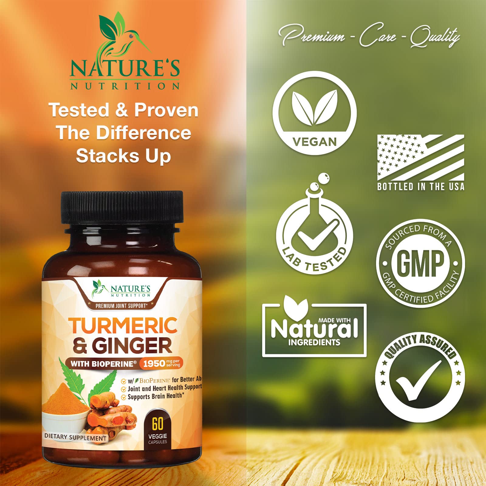 Turmeric Curcumin with BioPerine & Ginger 95% Standardized Curcuminoids Nature's Nutrition buy supplements canada