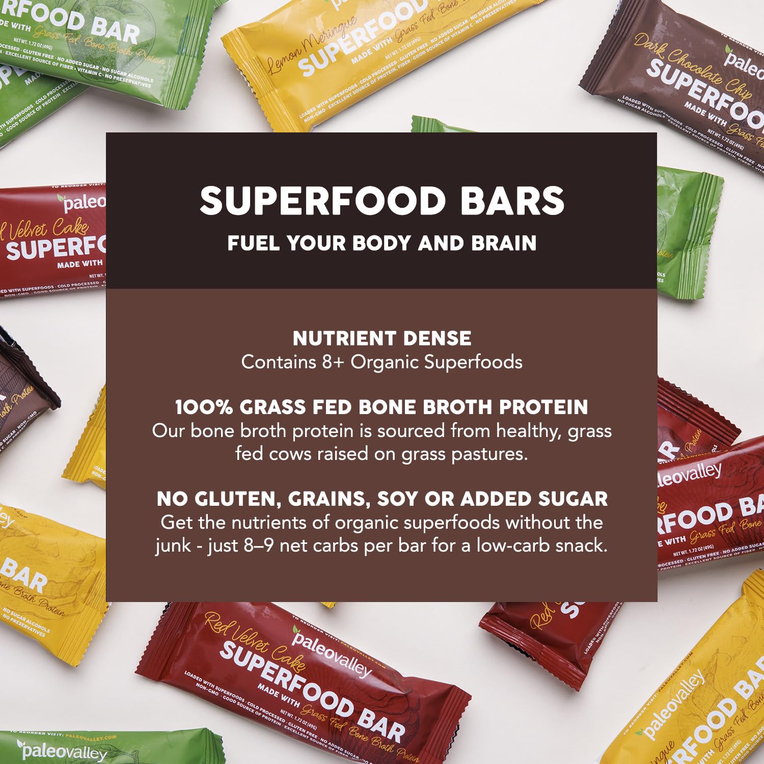Paleovalley Superfood Bars – Dark Chocolate Chip– 10 Pack – 9g Protein per Bar – Gluten-Free, Grain-Free, Paleo, Non-GMO – On-the-Go Snack Paleovalley buy supplements canada