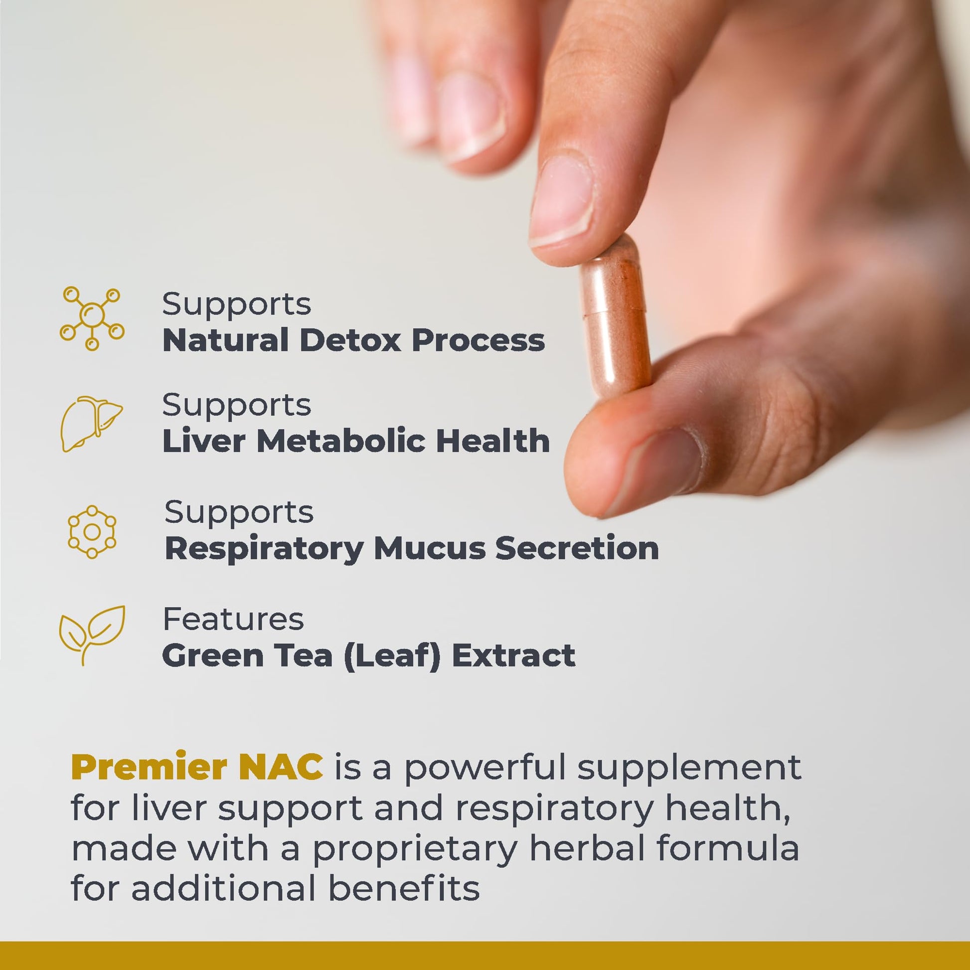 Premier Research Labs Premier NAC - NAC Supplement N-Acetyl Cysteine, N-Acetyl-L-Cysteine, Liver & Immune Support, 300mg NAC Per Capsule - 60 Vegetarian Capsules Premier Research Labs buy supplements canada