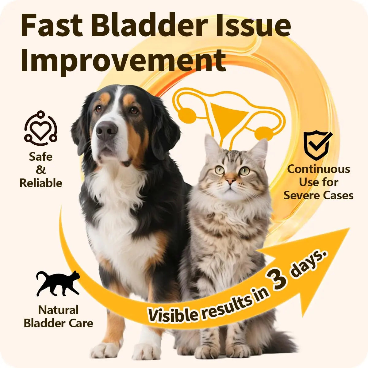 Cassiel Pet Bladder Supports Chews for Urinary Tract Health, Infection Treatments, Bladder Health, Dog UTI, Bladder Stones, Incontinence Support, Urinary Pain Relief for Cat & Dog 10 Chews (1 Bottle) Cassiel pet buy supplements canada