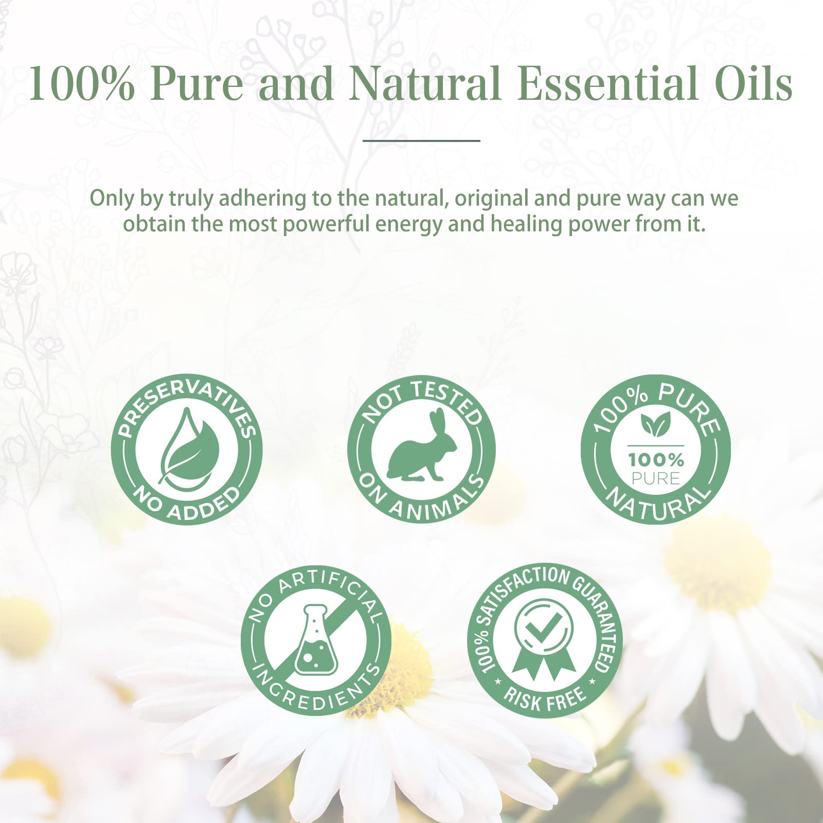 PHATOIL 100ML Chamomile Essential Oil - 3.38FL.OZ Essential Oils for Diffusers for Home PHATOIL buy supplements canada