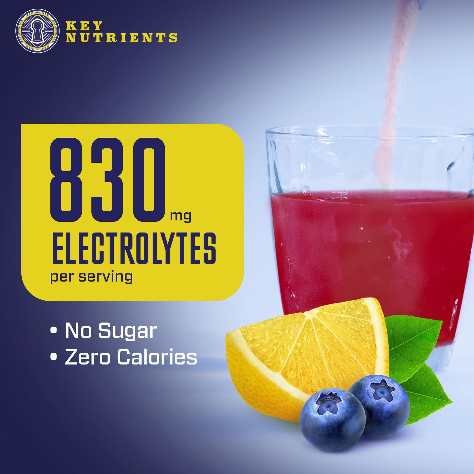 KEY NUTRIENTS Multivitamin Electrolytes Powder No Sugar - Fresh Blueberry Lemonade KEY NUTRIENTS buy supplements canada