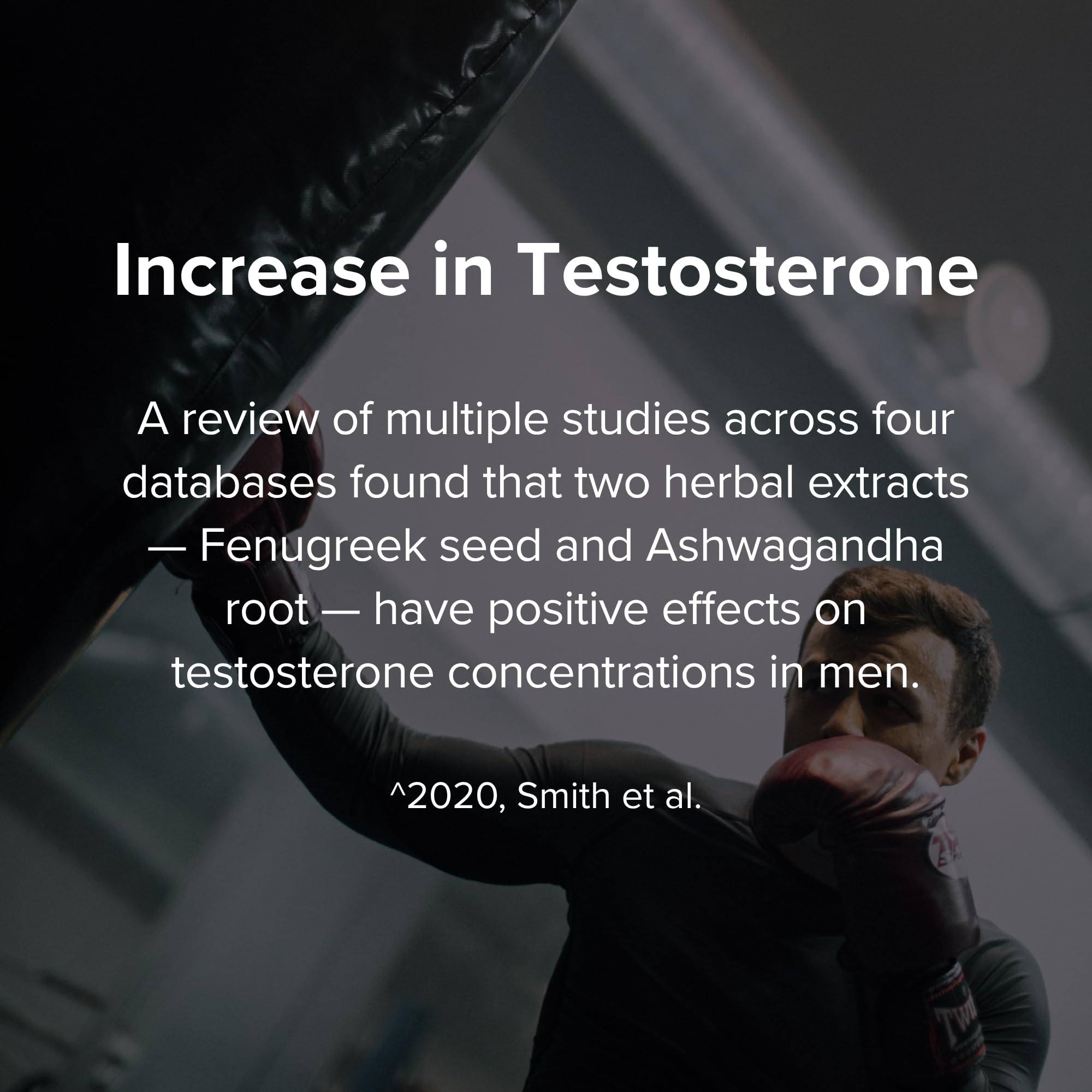 STRIVLABS Peak Potential 12-in-1  Support for Men – Fenugreek, Ashwagandha & Tongkat Ali – Natural Strength STRIVLABS buy supplements canada