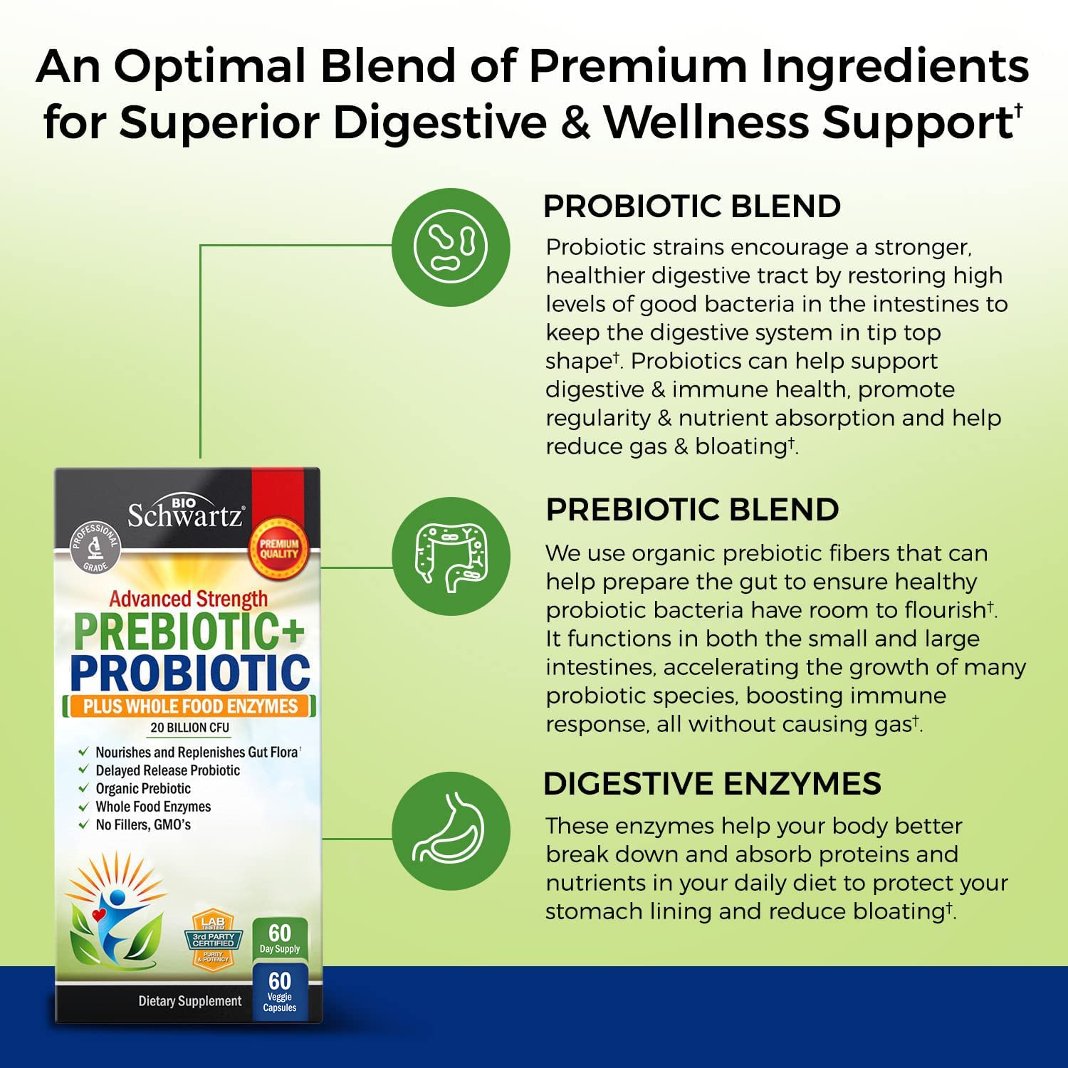 Prebiotics and Probiotic with Whole Food Enzymes for Adults Women & Men BioSchwartz buy supplements canada