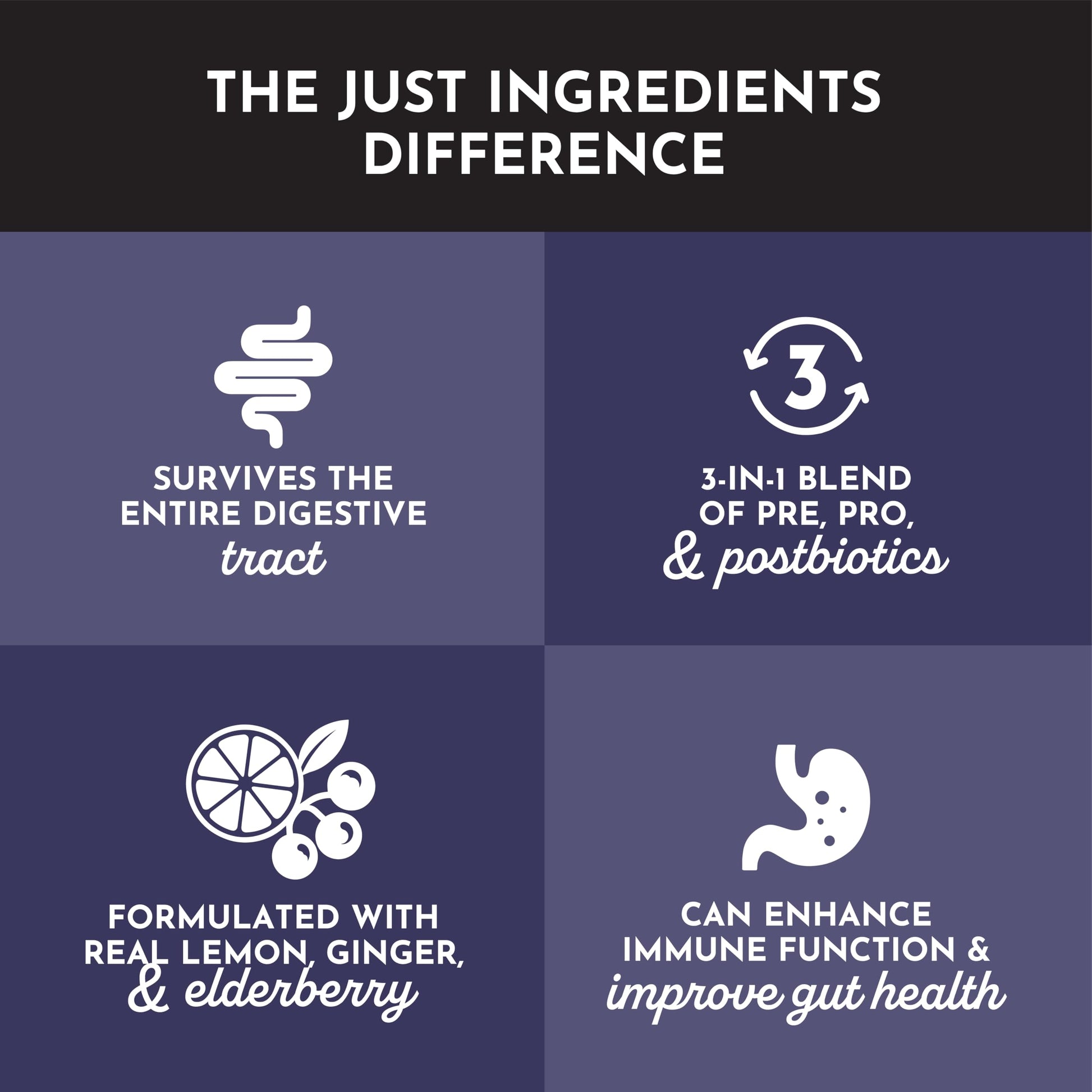 JUST INGREDIENTS Elderberry Lemonade 3-in-1 Probiotic Complex - Prebiotics, Probiotics & Postbiotics - 30 Sticks JUST INGREDIENTS buy supplements canada