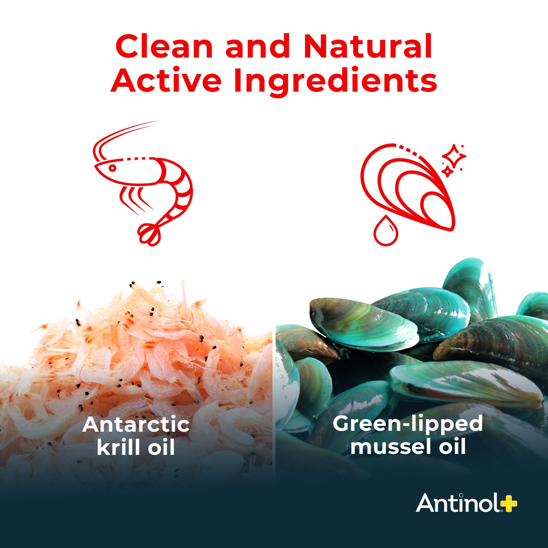 Antinol Plus, Mobility, Hip, and Joint Supplement for Cats, Green-Lipped Mussels and Krill Oil - Cat Joint Supplement, 30 Soft Gels Antinol buy supplements canada