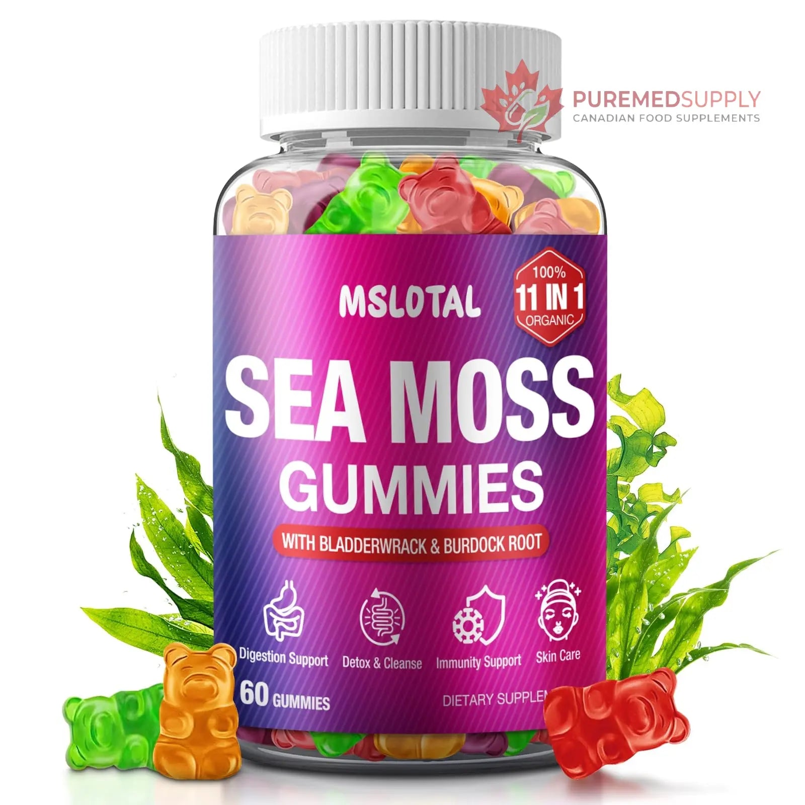 MSLOTAL Irish Sea Moss Gummies with Ashwagandha Bladderwrack and Burdock Root - Natural Irish Seamoss Supplement for Thyroid, Energy, Immune Support - 60 Vegan Gummy MSLOTAL buy supplements canada