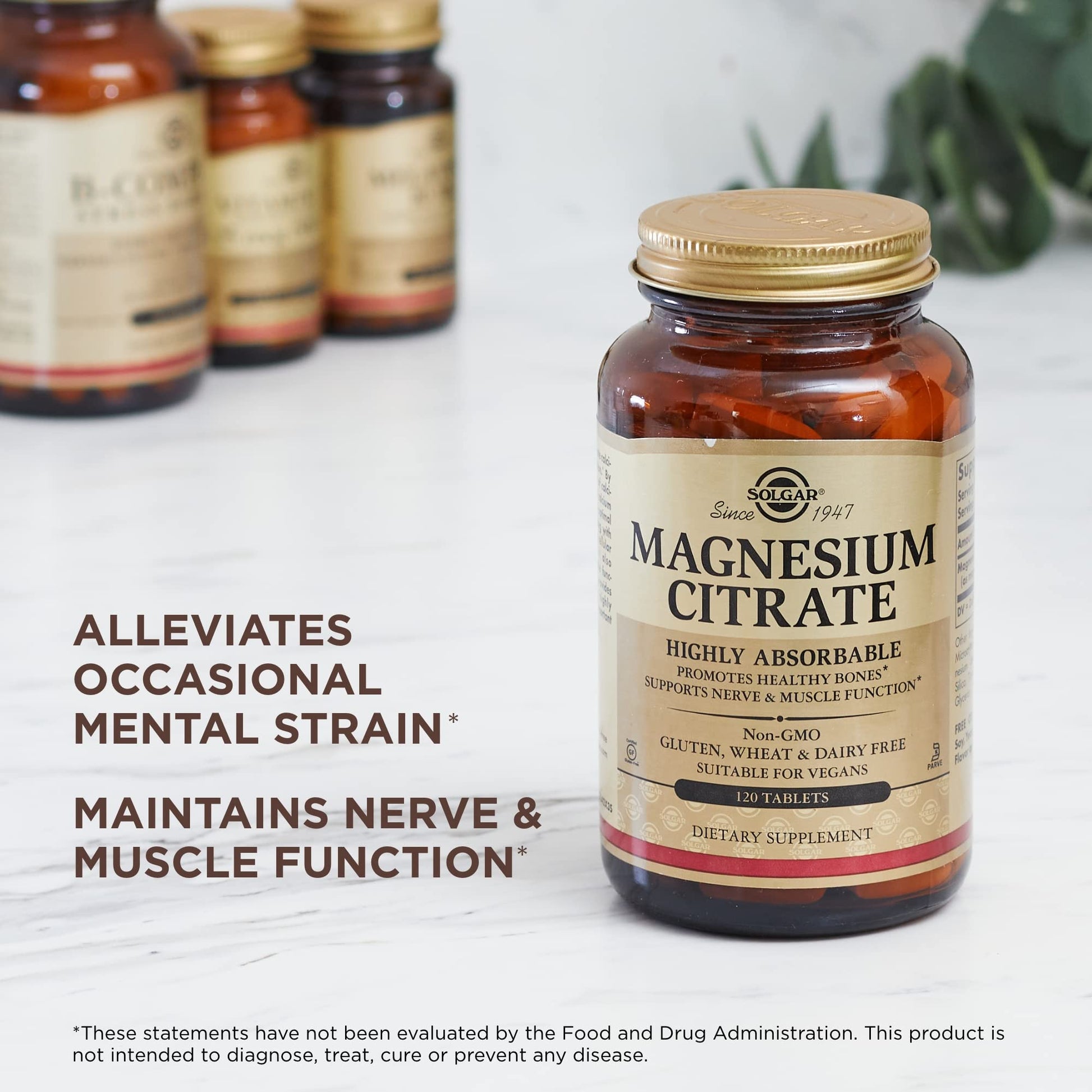 Solgar Magnesium Citrate - 120 Tablets, Pack of 2 - Promotes Healthy Bones, Supports Nerve & Muscle Function - Highly Absorbable - Non-GMO, Vegan, Gluten Free, Kosher - 120 Total Servings Solgar buy supplements canada