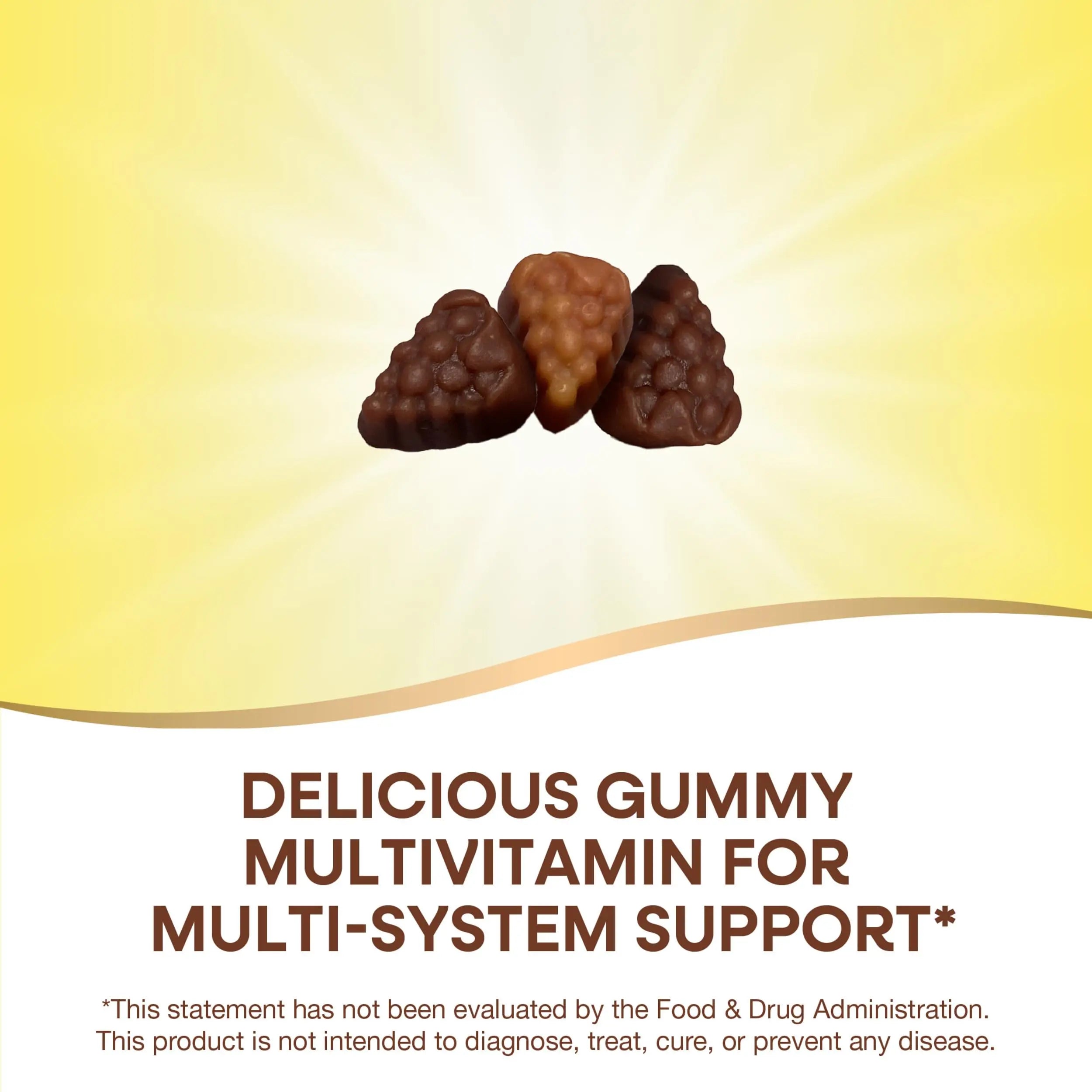 Nature's Way Alive! Adult Premium Multivitamin Gummy, Full B-Vitamin Complex, Supports Energy Metabolism & Heart Health*, 90 Gummies Nature's Way buy supplements canada