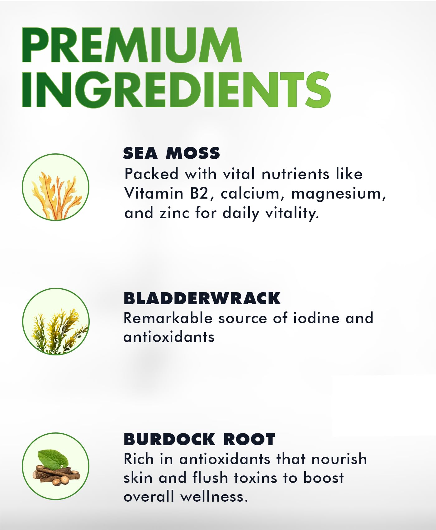 BIO VITALICA Sea Moss Gummies – with Bladderwrack & Burdock Root – Wildcrafted Gel + Powder – Vegan, Keto, Non-GMO, Gluten-Free – Fruity Mineral-Rich Gummies – 50 Count (3 Pack) BIO VITALICA buy supplements canada
