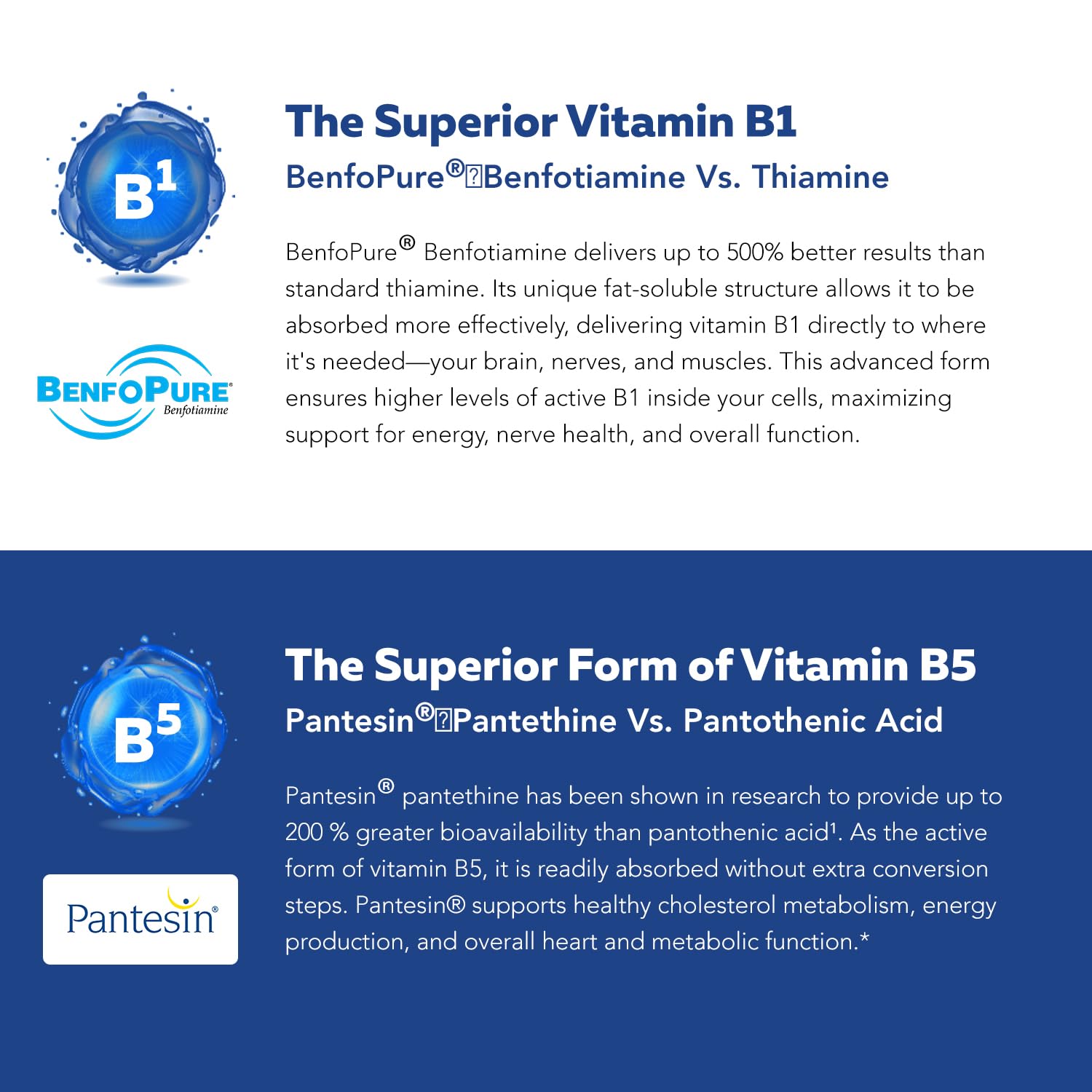 BioActive Vitamin B Complex - Blood Stream Ready, Methylated B Complex - Featuring Methylfolate, 3 BioActive Forms of B12, BenfoPure® B1 & Pantesin Triquetra Health buy supplements canada