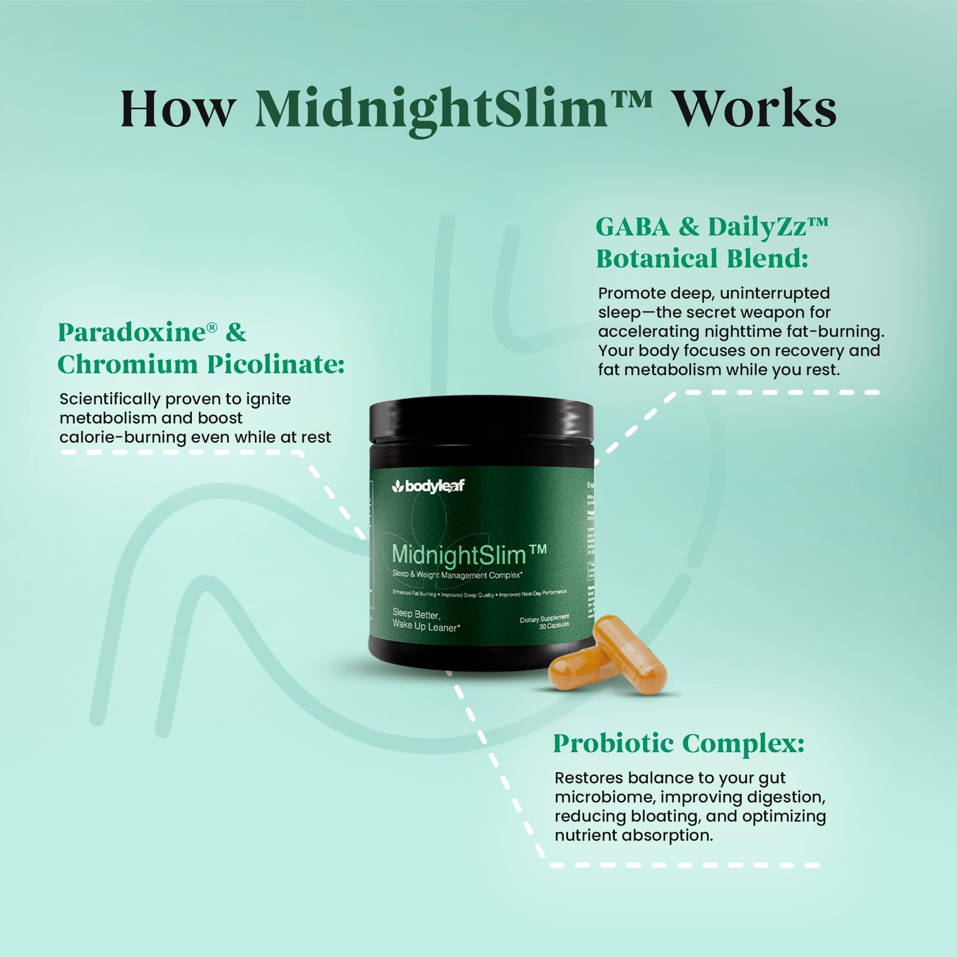 MidnightSlim™ | Advanced Nighttime Weight  | Maximum Strength Metabolism Support, Digestive Health, Peaceful Sleep | Premium Probiotic Complex | 30 Capsules Body Leaf buy supplements canada