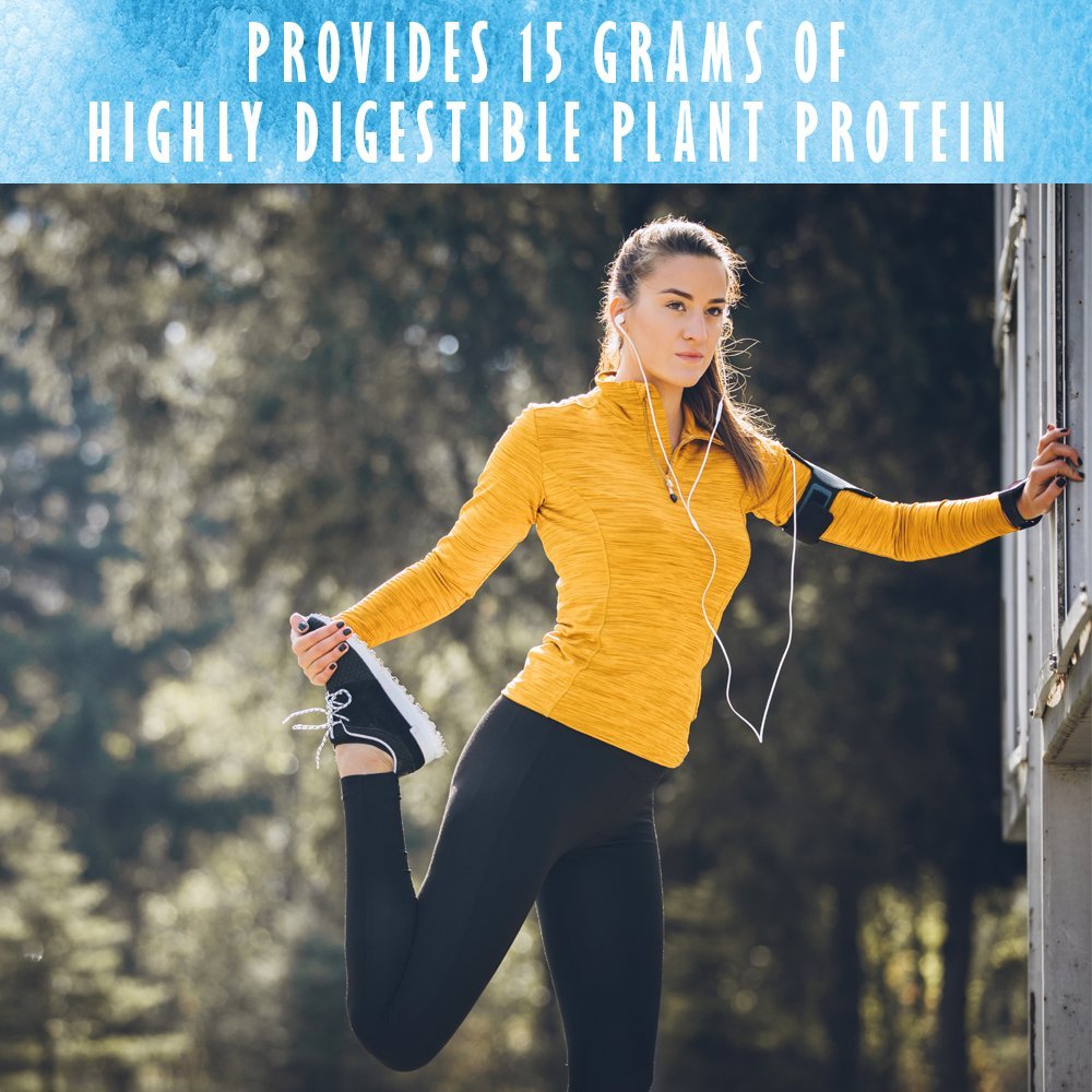 Garden of Life Organic Plant Based Protein Powder - Smooth Vanilla, Vegan, Grain Free Garden of Life buy supplements canada