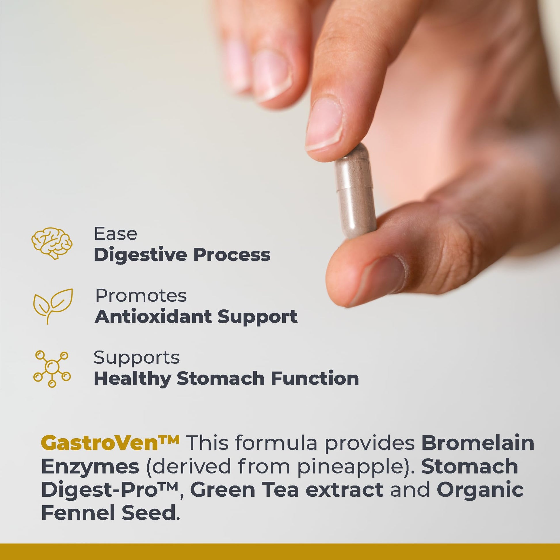 Premier Research Labs GastroVen - Digestive Enzymes for Women & Men, Digestive Health Supplement, Supports Healthy Gut Microbiome w/Bromelain, Ginger - 60 Capsules Premier Research Labs buy supplements canada