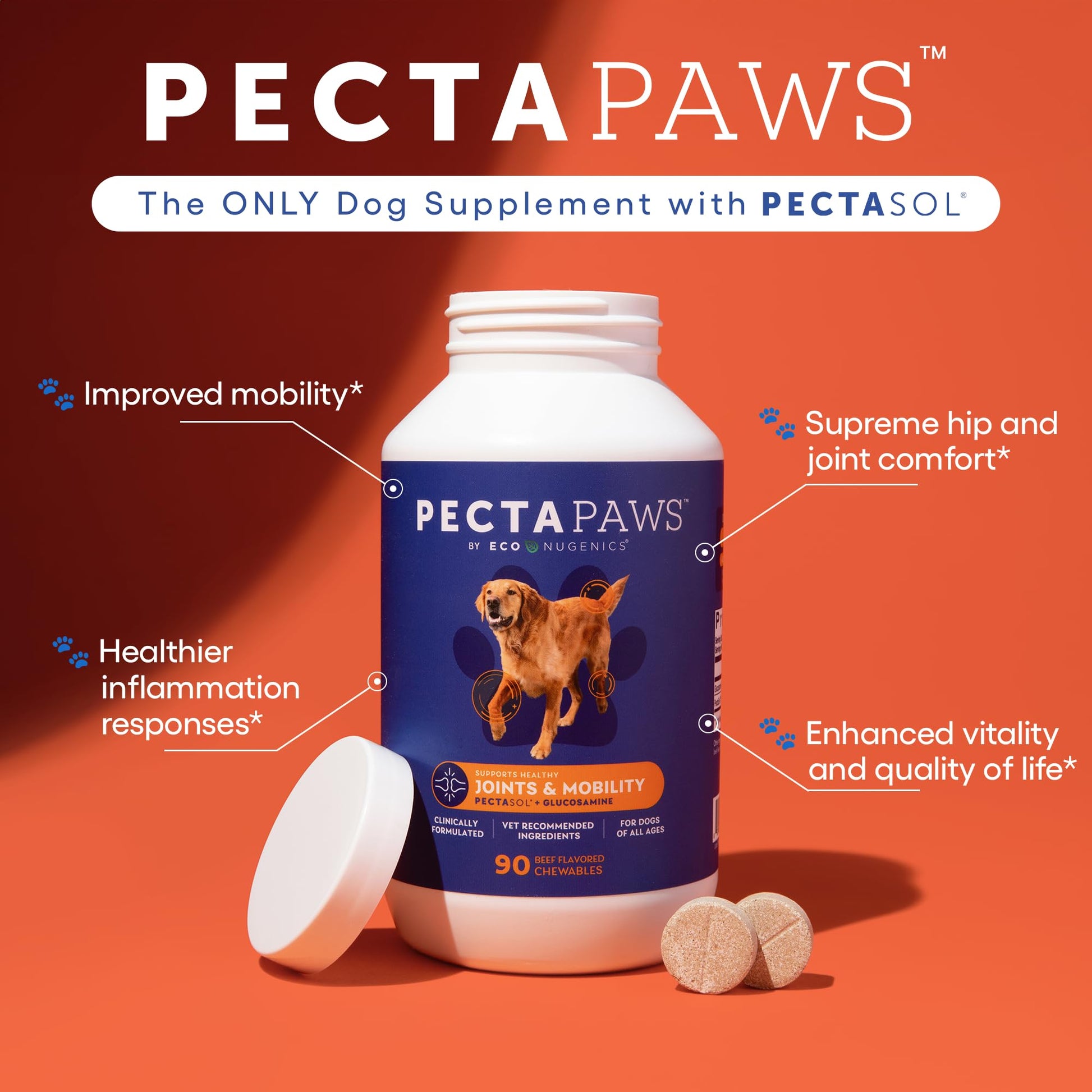 ecoNugenics PectaPaws Chewable Dog Supplements – Beef Flavor, 90 Count – PectaSol Modified Citrus Pectin + Glucosamine HCI for Dogs of All Ages, Supports Mobility, Joints, Immune Function, Pain Relief EcoNugenics buy supplements canada