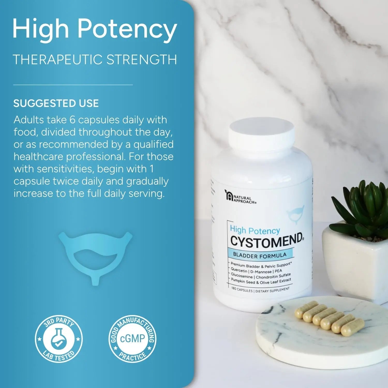 CystoMend Bladder & Pelvic Discomfort Formula (High Potency) - Supports Less Flares & Urgency* - Premium Bladder Support for Women & Men - USA Manufactured & Third-Party Tested - 180 Capsules CystoMend buy supplements canada