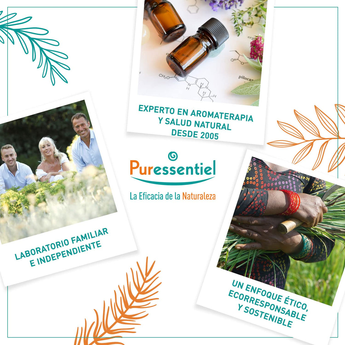 Puressentiel Muscles and Joints Cryo Pure Spray - Natural Menthol and Essential Oils Soothe Muscle Stiffness - Long Lasting Cooling Sensation - 5 oz Puressentiel buy supplements canada
