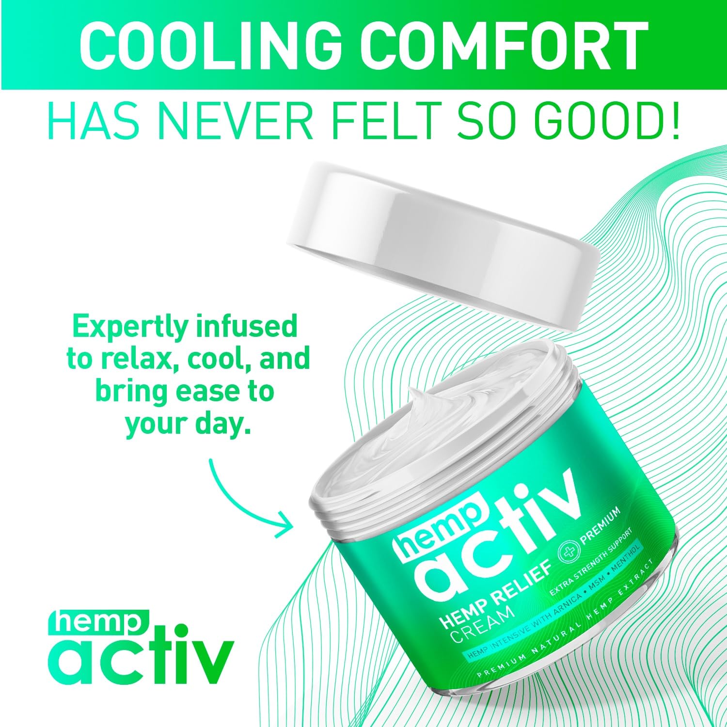 HEMPACTIV Cooling Hemp Cream – Menthol, MSM & Arnica – Fast-Absorbing, Non-Greasy Formula for Muscles & Joints – 4oz Best-Value Size HEMPACTIV buy supplements canada