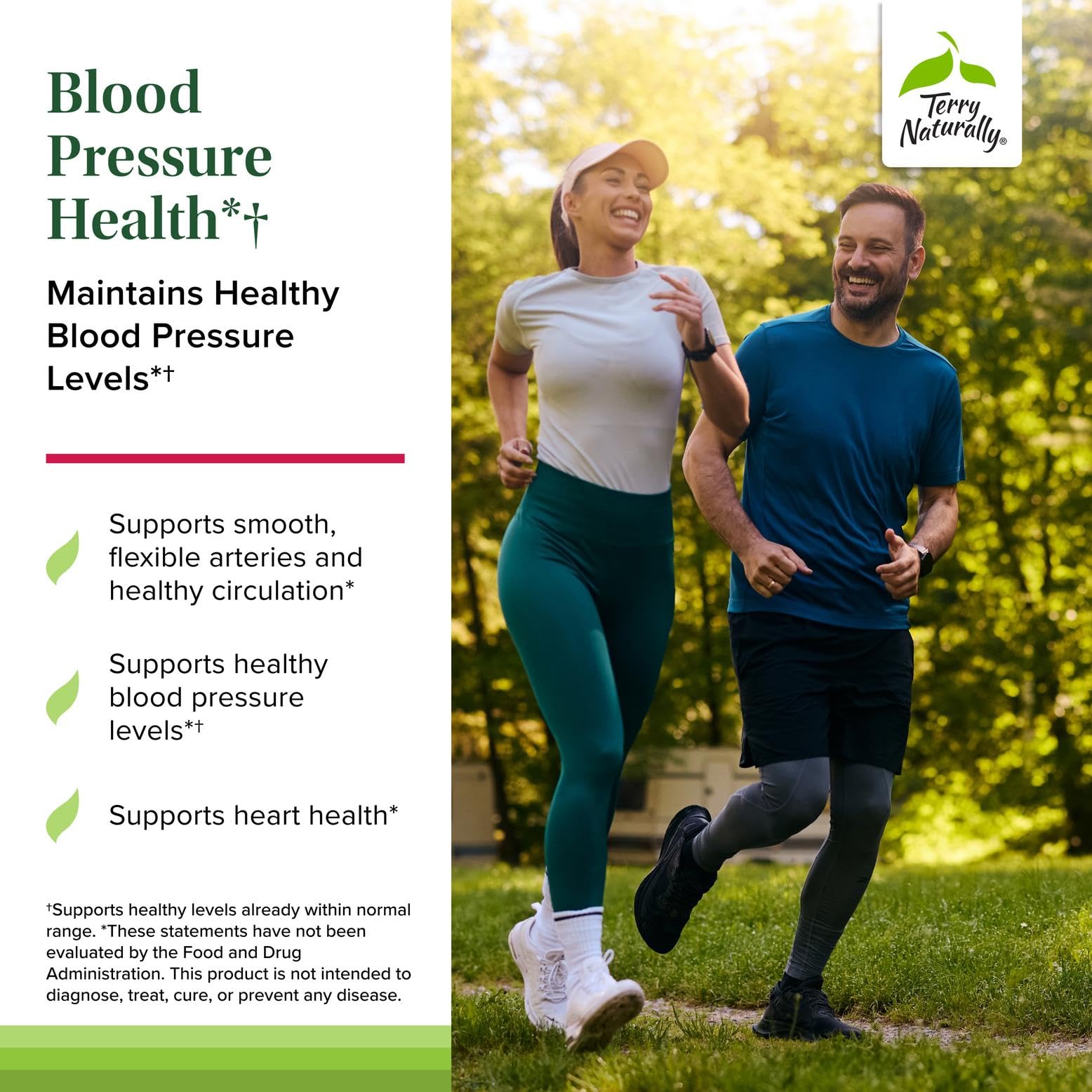 Terry Naturally Blood Pressure Health - Healthy Blood Flow & Circulation Support Supplement - Heart Health Supplement with Antioxidants - Cardiovascular Support - 60 Capsules Terry Naturally buy supplements canada