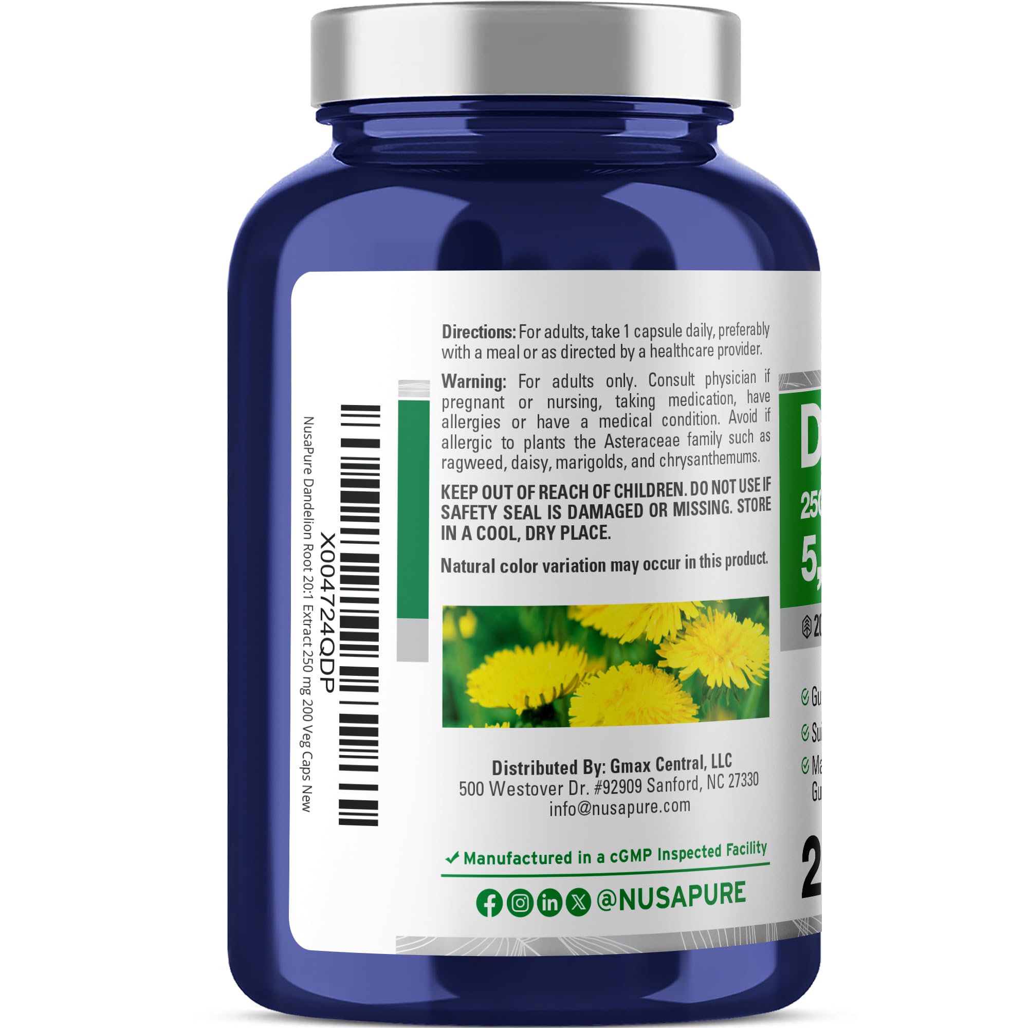 NusaPure Dandelion Root 20:1 Extract, 250 mg Equivalent to 5000mg 200 Veg Capsules (Vegan, Non-GMO) NusaPure buy supplements canada