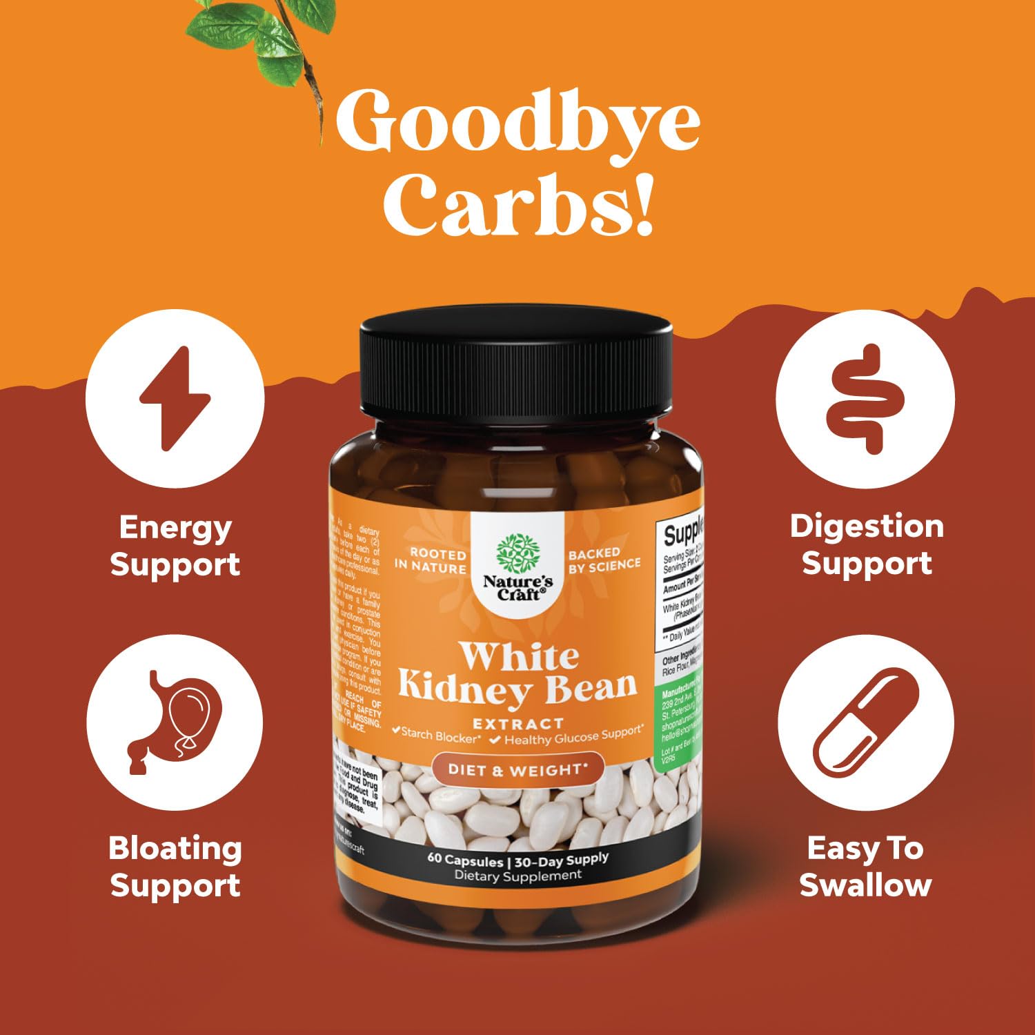Natural White Kidney Bean Extract - White Kidney Bean Energy Booster AMPK Activator Natures Craft buy supplements canada