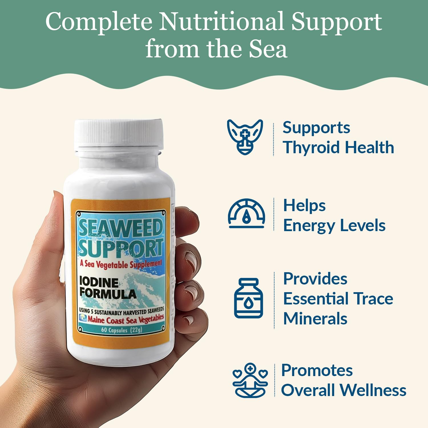 Maine Coast Sea Vegetables Seaweed Support Iodine Formula | Source of Iodine from Seaweed | Daily Use Iodine Supplement | Organic Alaria, Rockweed, Sea Lettuce, Dulse & Bladderwrack blend | 60 Capsule Maine Coast Sea Vegetables buy supplements canada