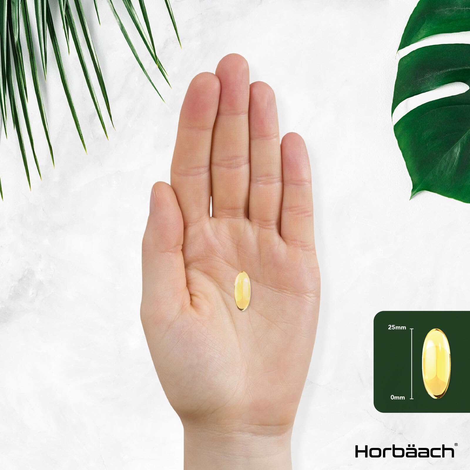 Triple Omega 3 6 9 Capsules | 180 Count | High Strength Supplement with DHA Horbäach buy supplements canada