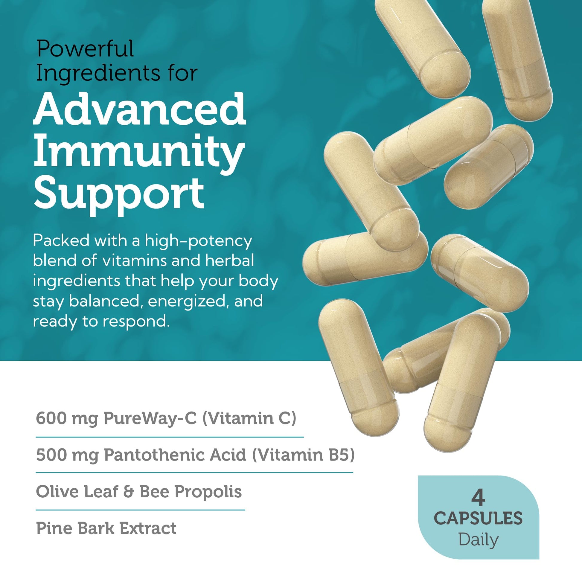 Zahler Immune Defense, Immune System Support, Certified Kosher, 120 Capsules Zahler buy supplements canada