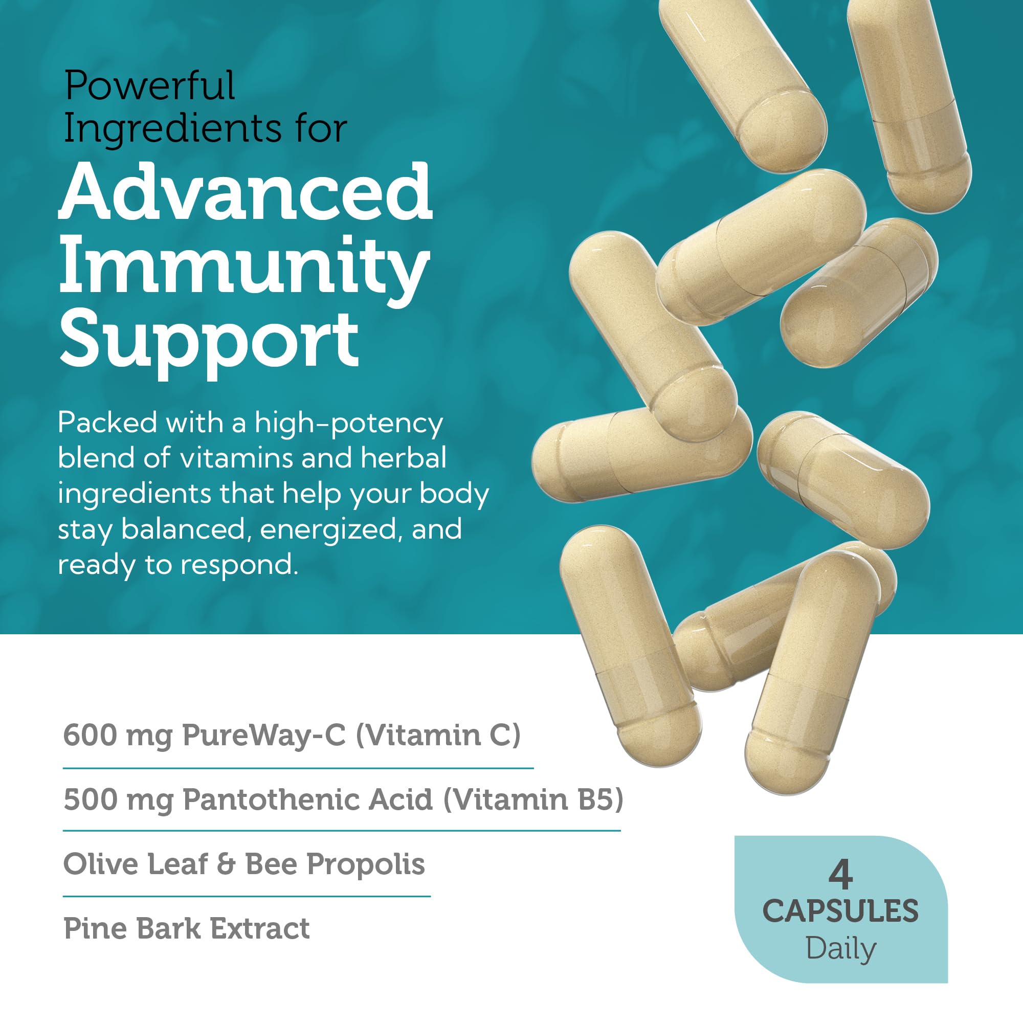 Zahler Immune Defense, Immune System Support, Certified Kosher, 120 Capsules Zahler buy supplements canada