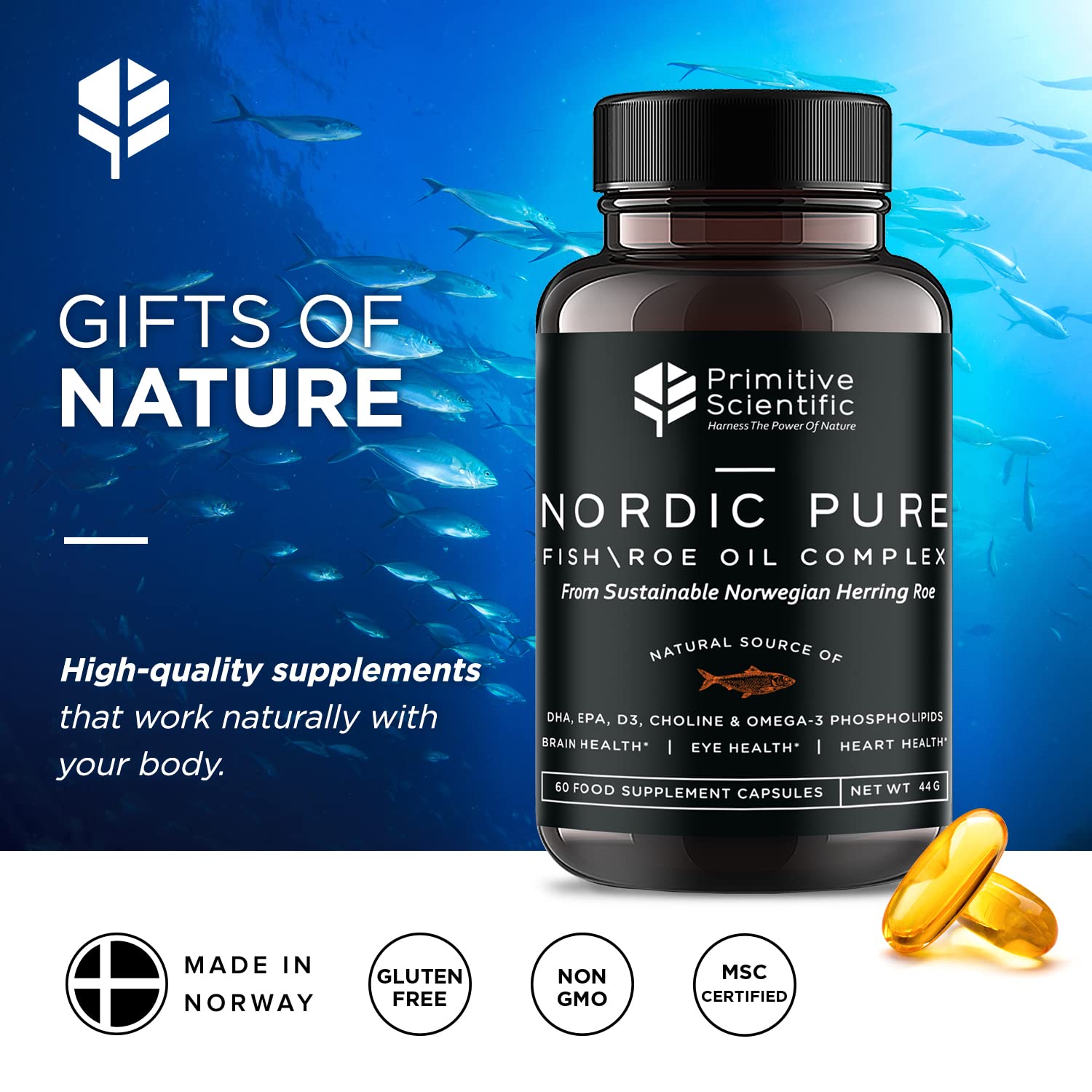 Primitive Scientific Nordic Pure Oil Complex (60 Fish Oil Capsules) for Brain, Immunity & Vision - Heart Supplement w/EPA, DHA, Vitamin D3, Choline - Omega 3 Supplements Primitive Scientific buy supplements canada