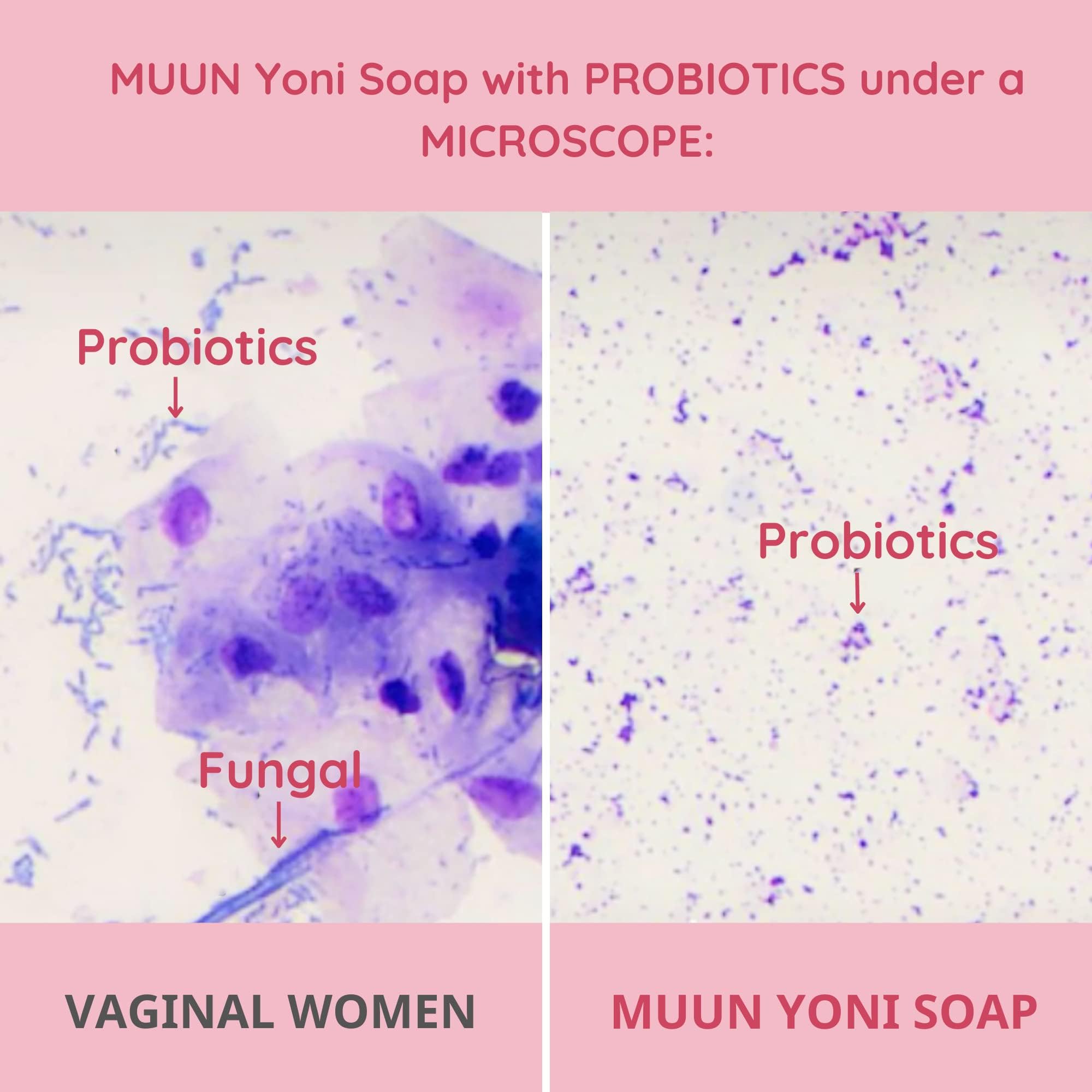 Muun Yoni Soap Bar - Pack 3 Ph Balance Probiotics & Natural Ingredients - Gentle Cleansing Formula Muun buy supplements canada