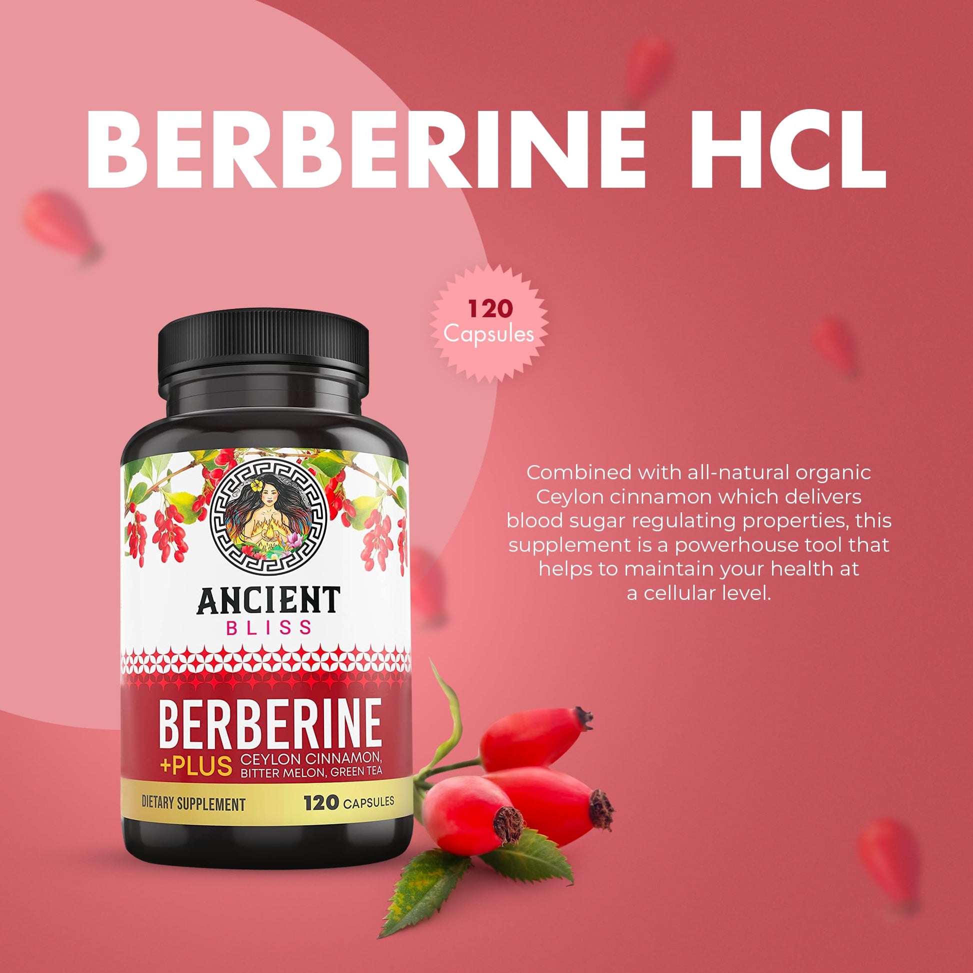 Ancient Bliss Berberine HCL 1200mg with Ceylon Cinnamon, Bitter Melon, and Green Tea Ancient Bliss buy supplements canada