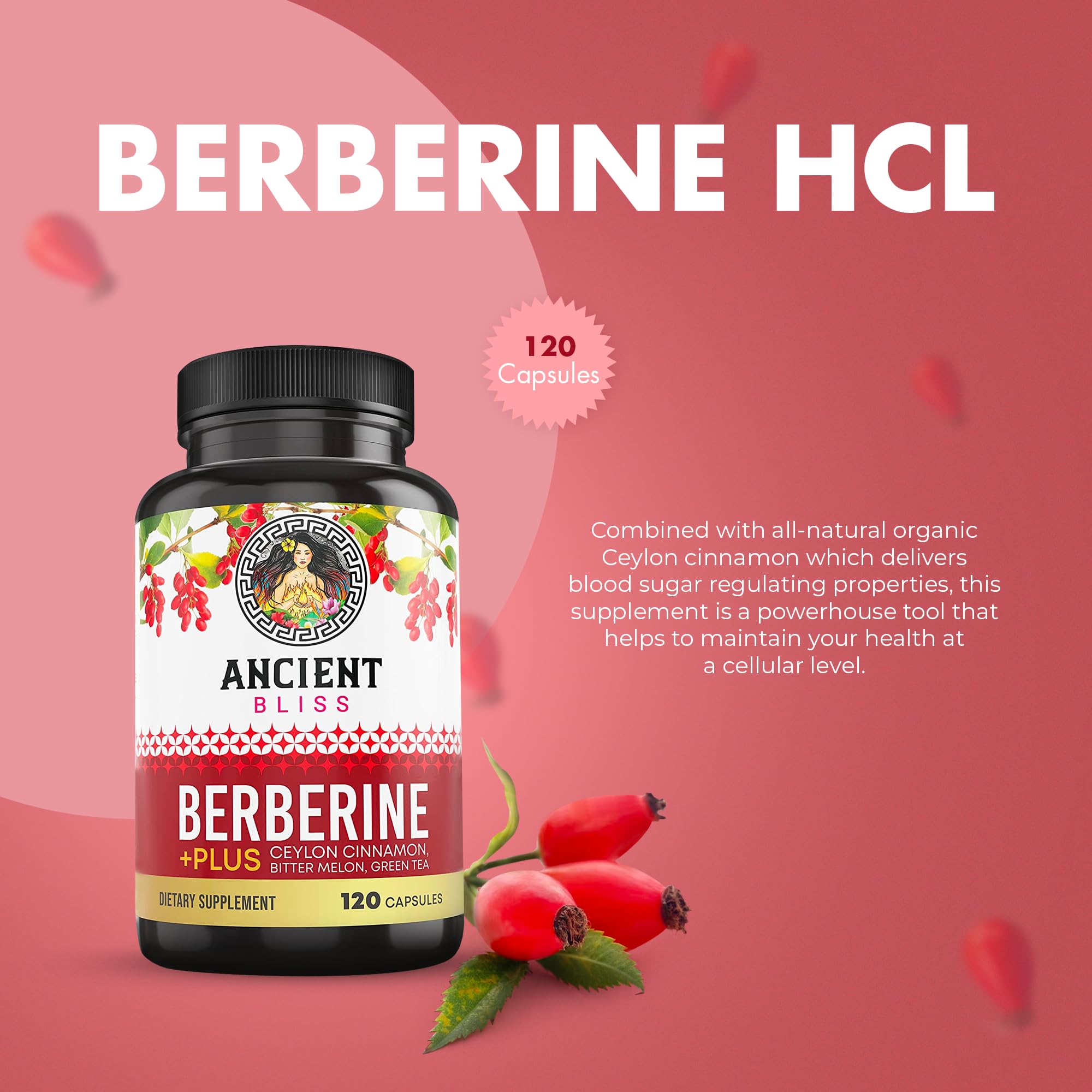 Ancient Bliss Berberine HCL 1200mg with Ceylon Cinnamon, Bitter Melon, and Green Tea Ancient Bliss buy supplements canada