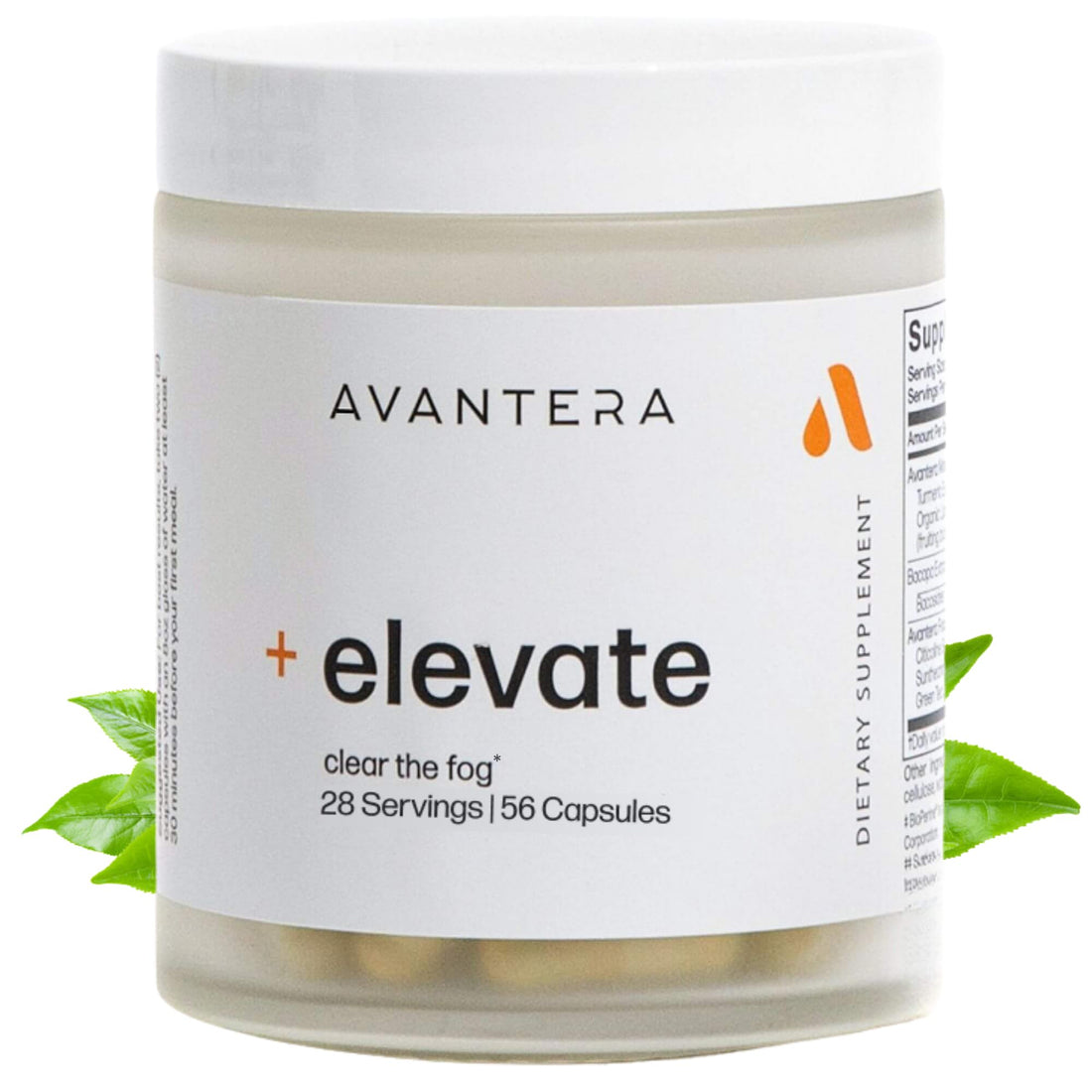 Avantera Elevate Premium Nootropic Supplement - Beat Brain Fog - Best Focus Supplements for Memory & Focus Support - Energy Without Crash Avantera buy supplements canada