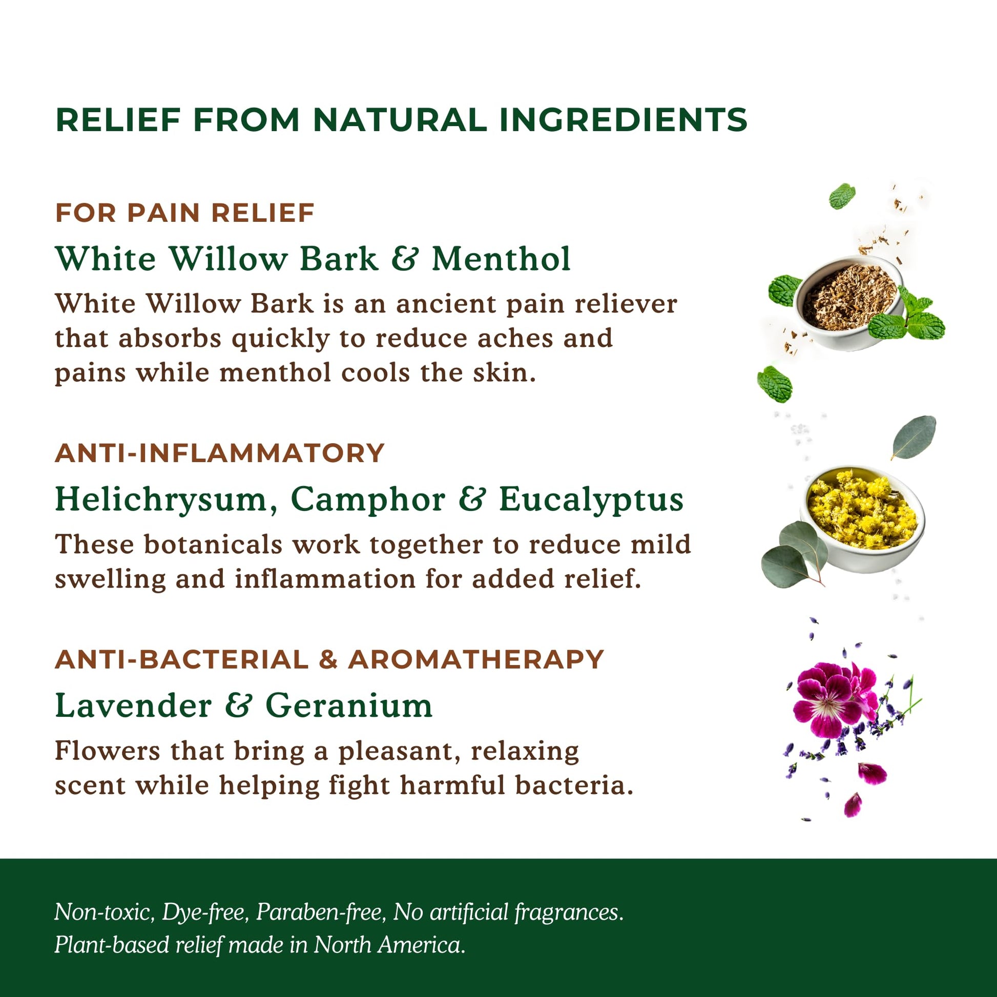 Nature's Willow Willow Balm Natural Pain Relief Cream for Muscles & Joints | Fast-Acting with Willow Bark & Menthol | Free from Artificial Fragrances & Dyes | 6-Pack | 3.5 fl oz Nature's Willow buy supplements canada