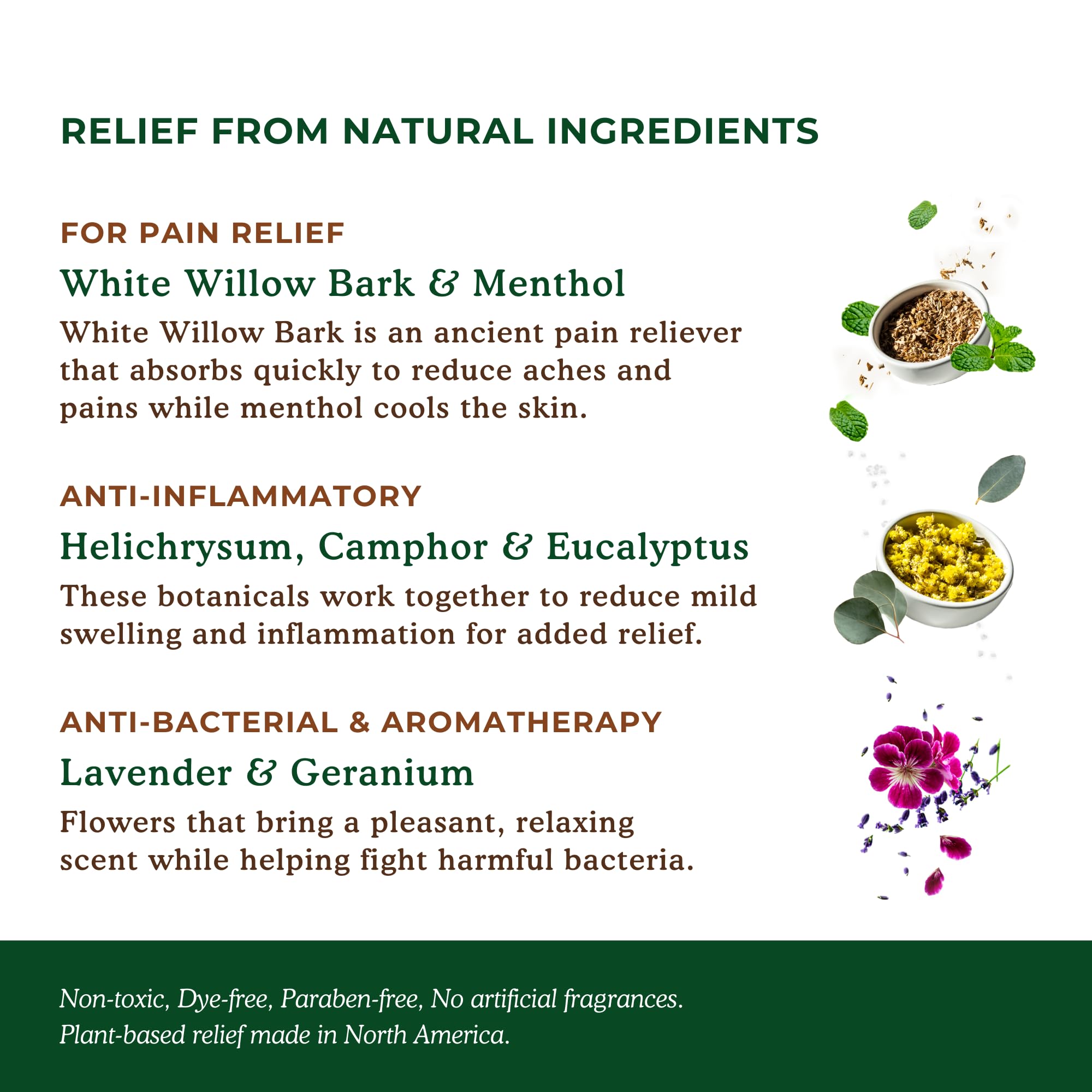 Nature's Willow Willow Balm Natural Pain Relief Cream for Muscles & Joints | Fast-Acting with Willow Bark & Menthol | Free from Artificial Fragrances & Dyes | 6-Pack | 3.5 fl oz Nature's Willow buy supplements canada