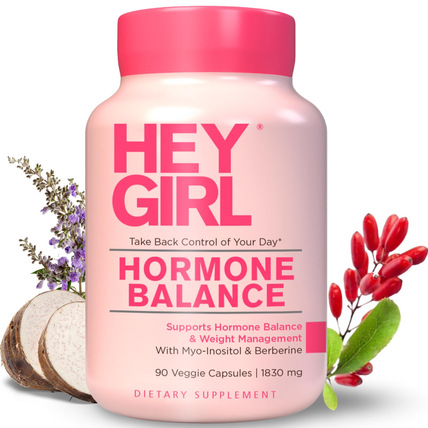 Hey Girl Hormone Balance for Women – 13-in-1 Menopause, PMS & Cycle Support – Mood & Hot Flash Support – w Myo-Inositol, Berberine, Maca Root, Black Cohosh, DIM, Dong Quai HEY GIRL NUTRITION buy supplements canada